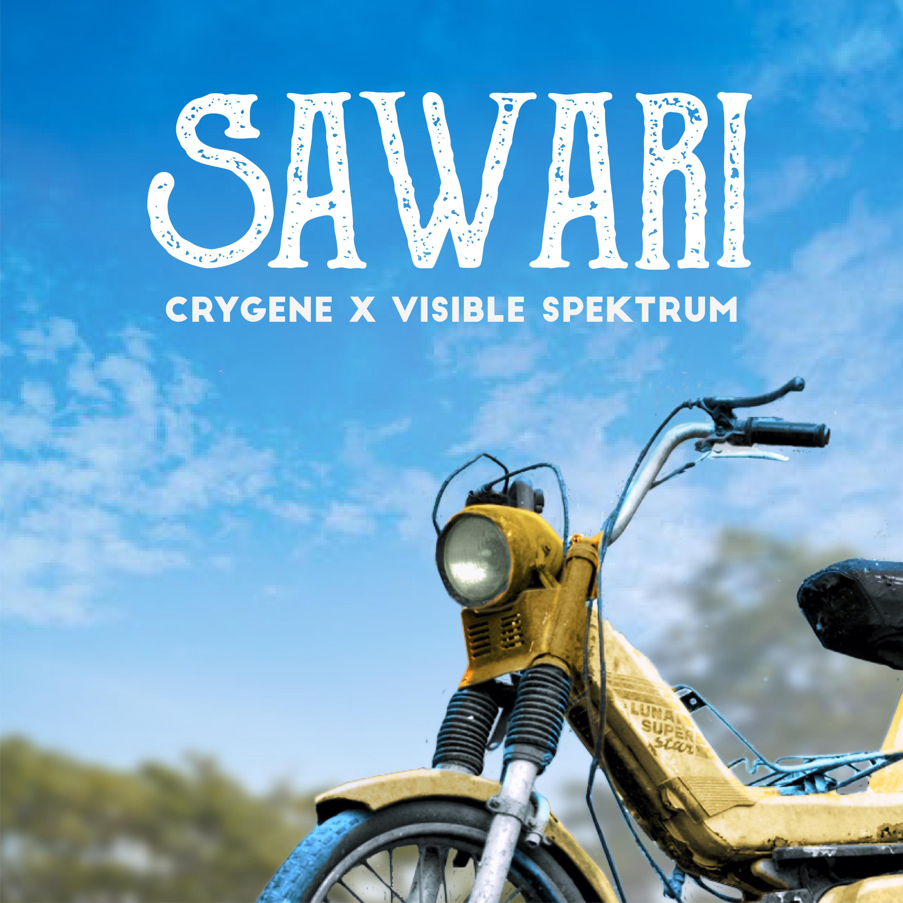 Постер альбома Sawari