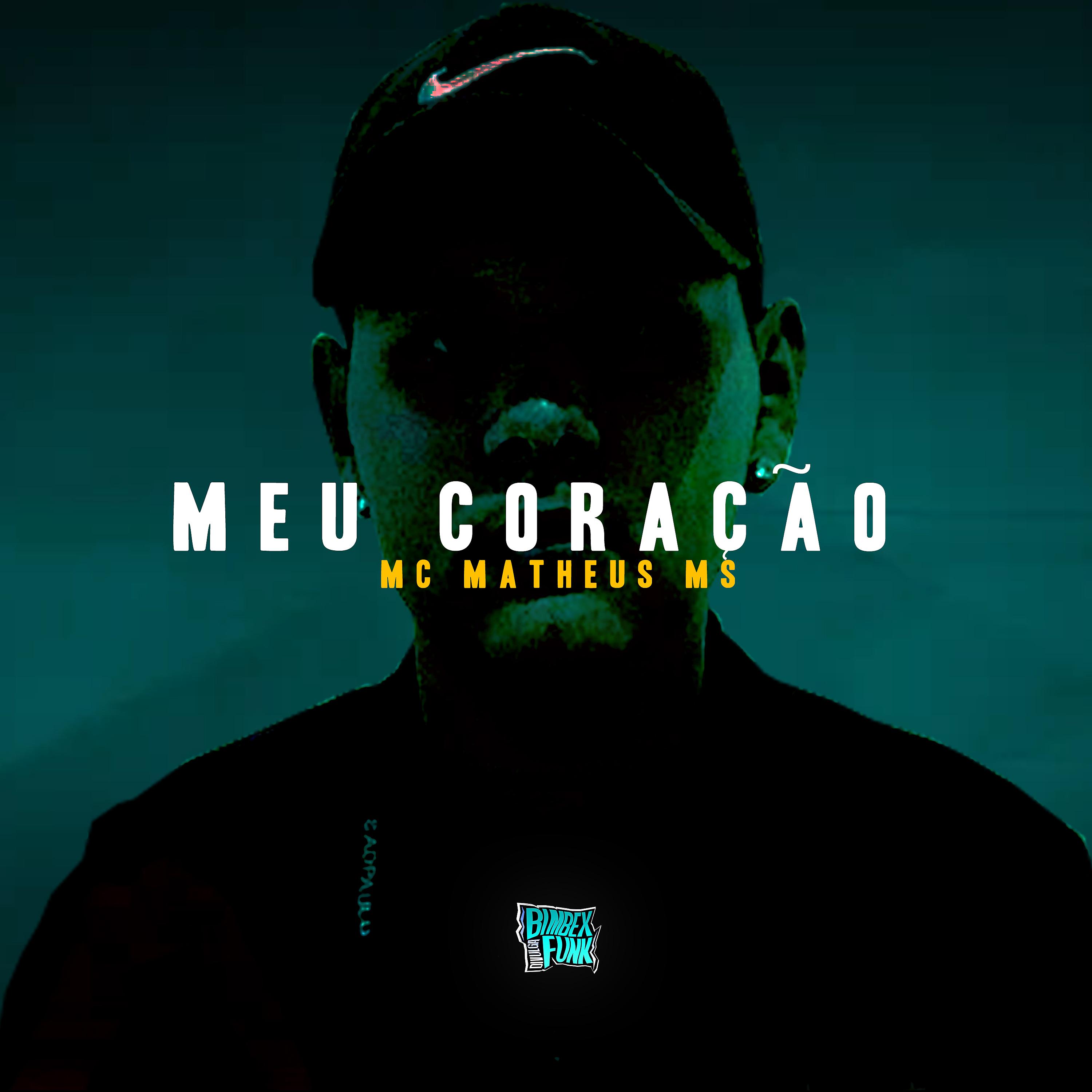 Постер альбома Meu Coração