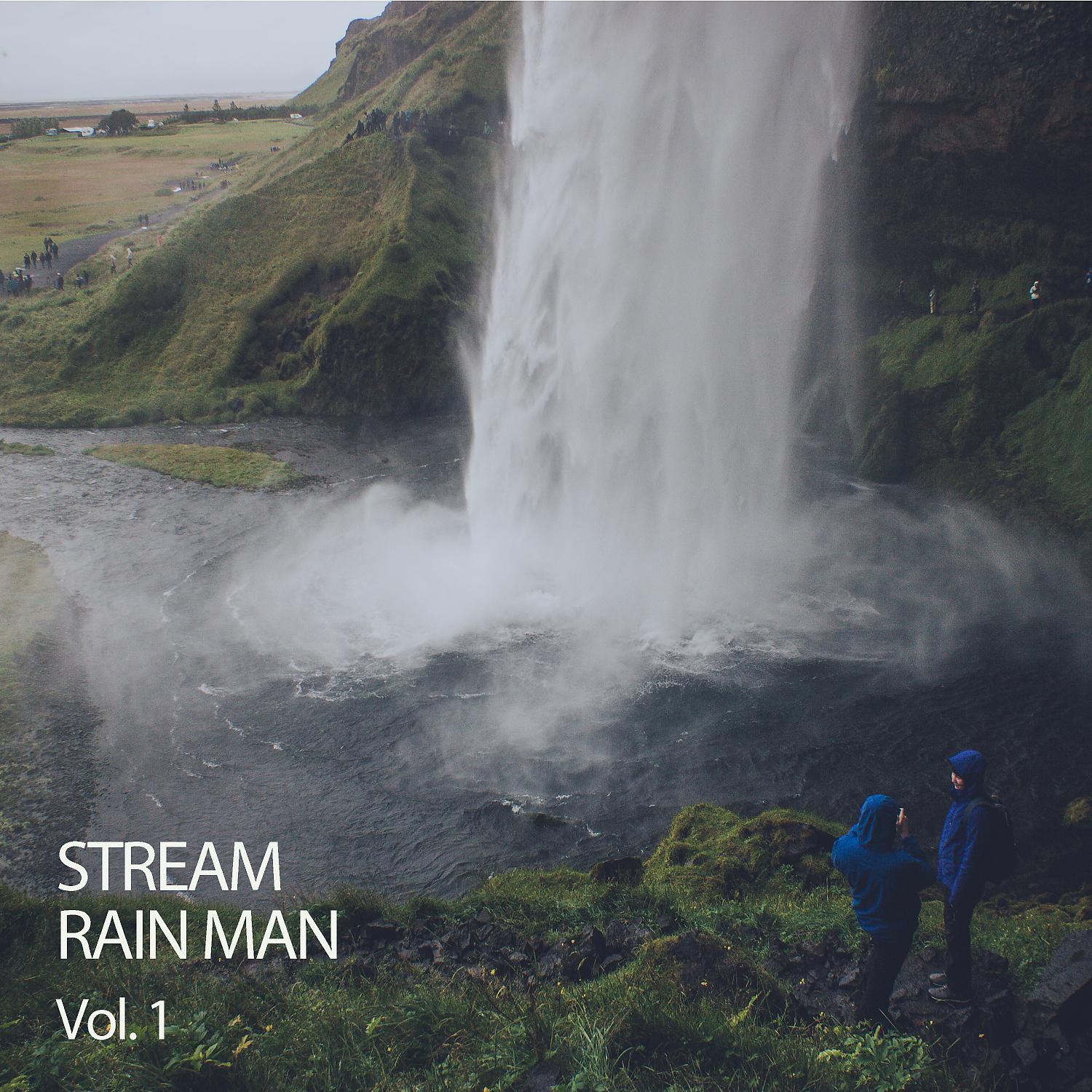 Постер альбома Stream: Rain Man Vol. 1