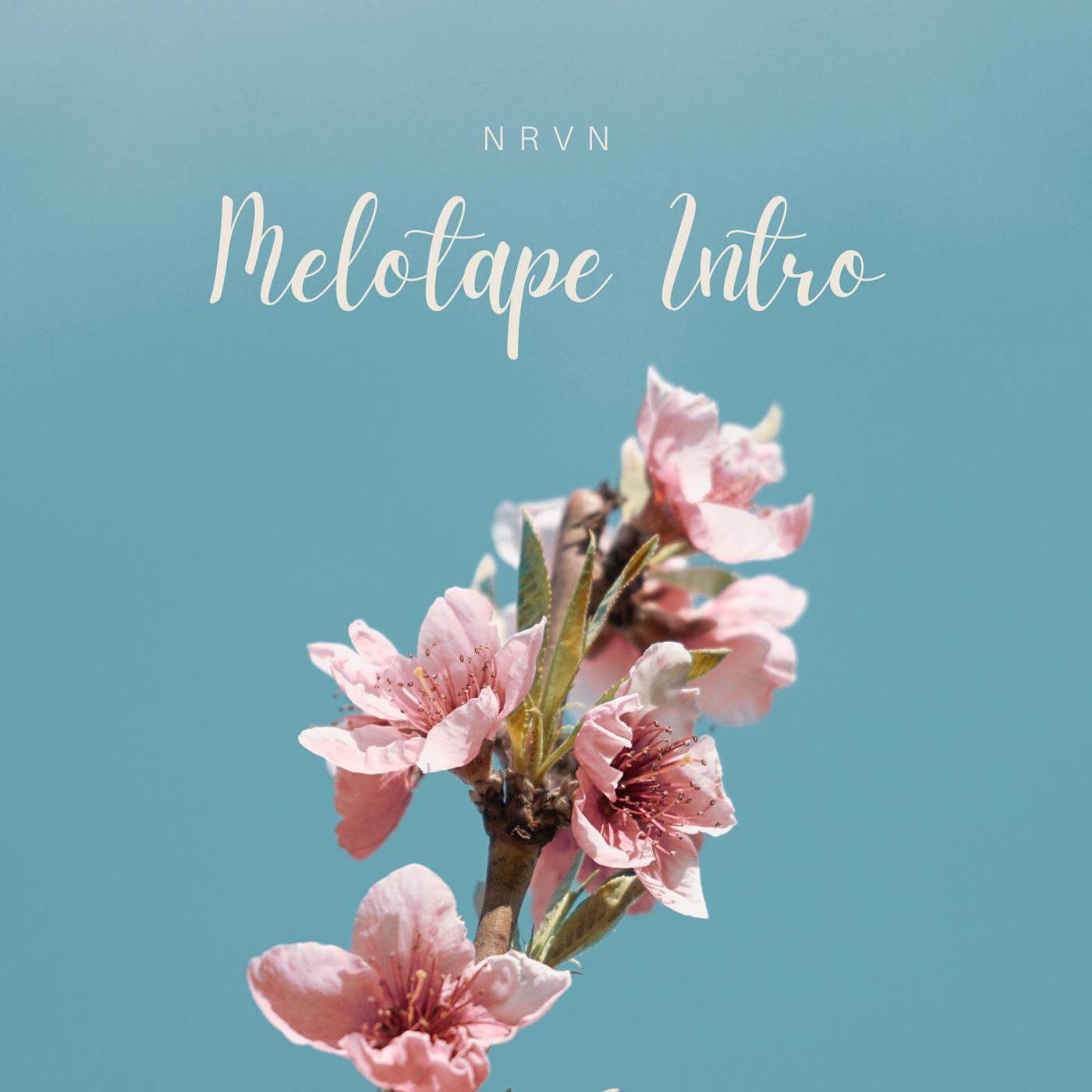 Постер альбома Melotape Intro