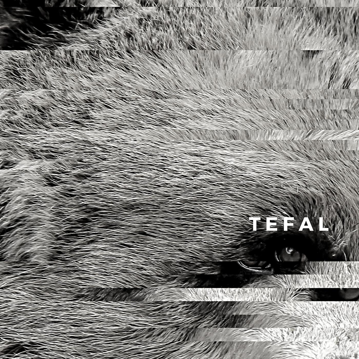 Постер альбома Tefal
