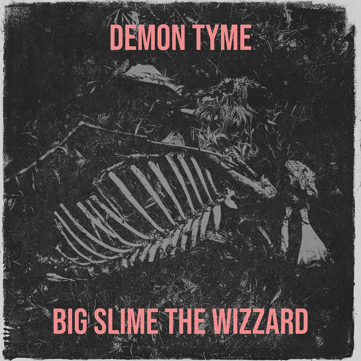 Постер альбома Demon Tyme
