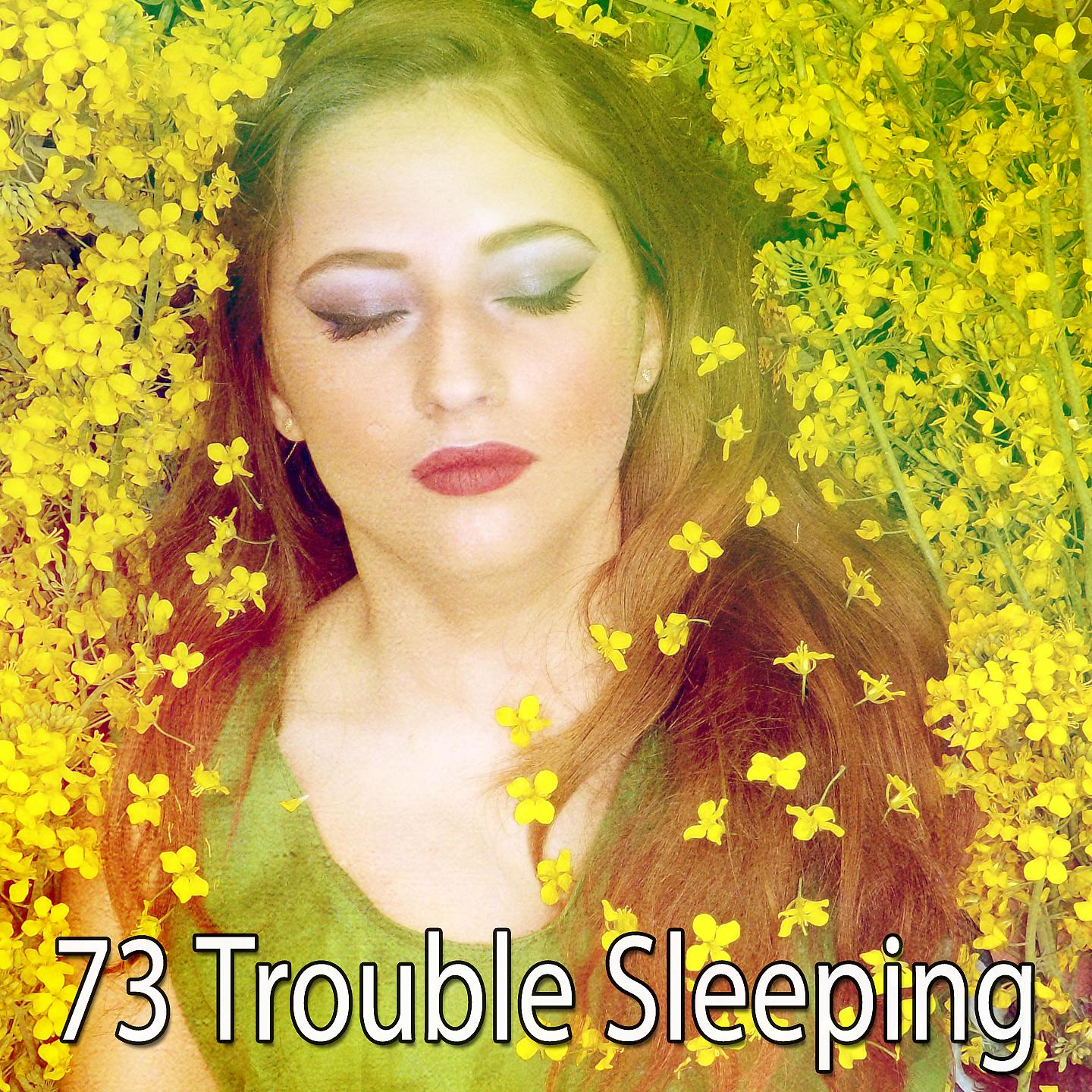 Постер альбома 73 Проблемы со сном