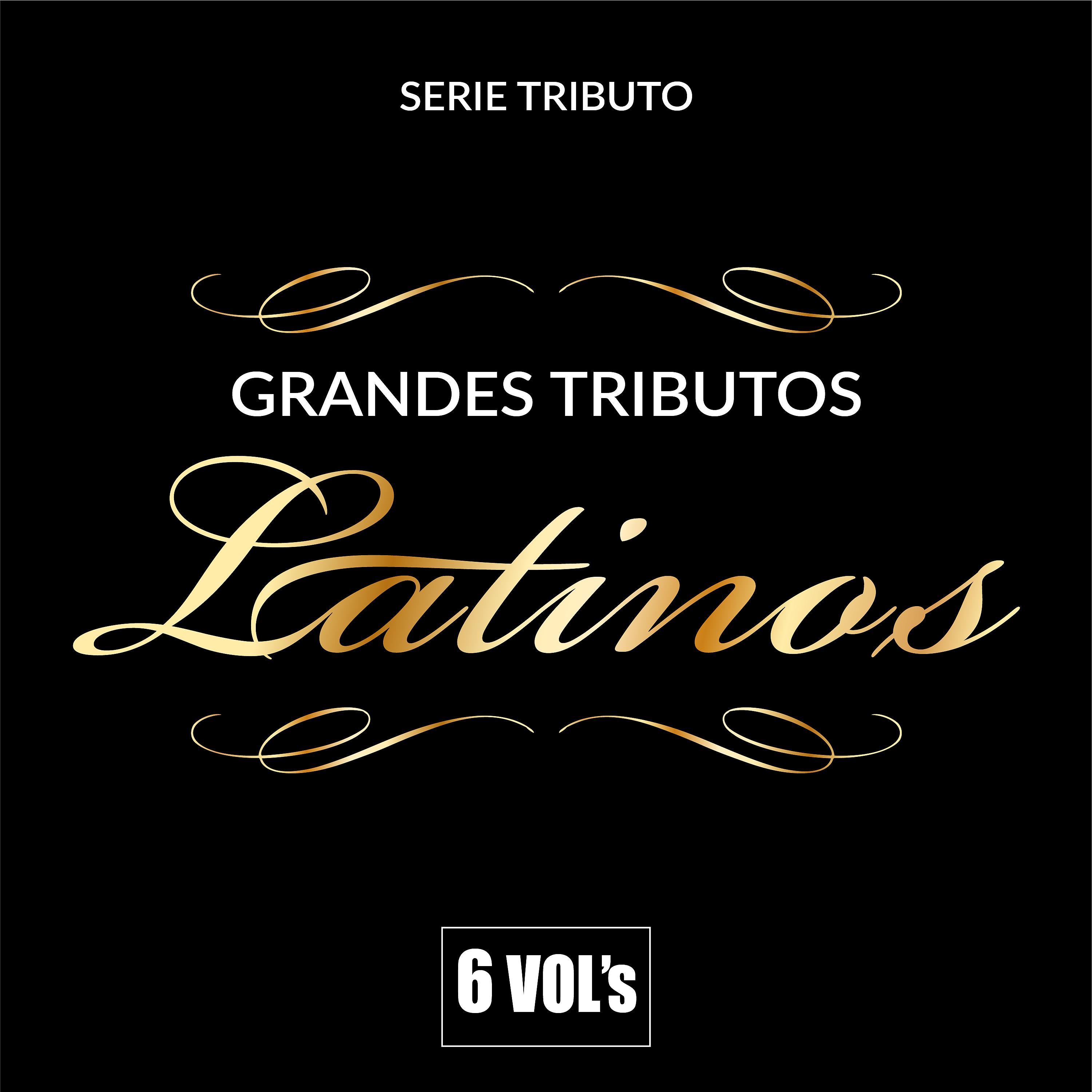 Постер альбома Serie Tributo: Grandes Tributos Latinos, 6 Vol's
