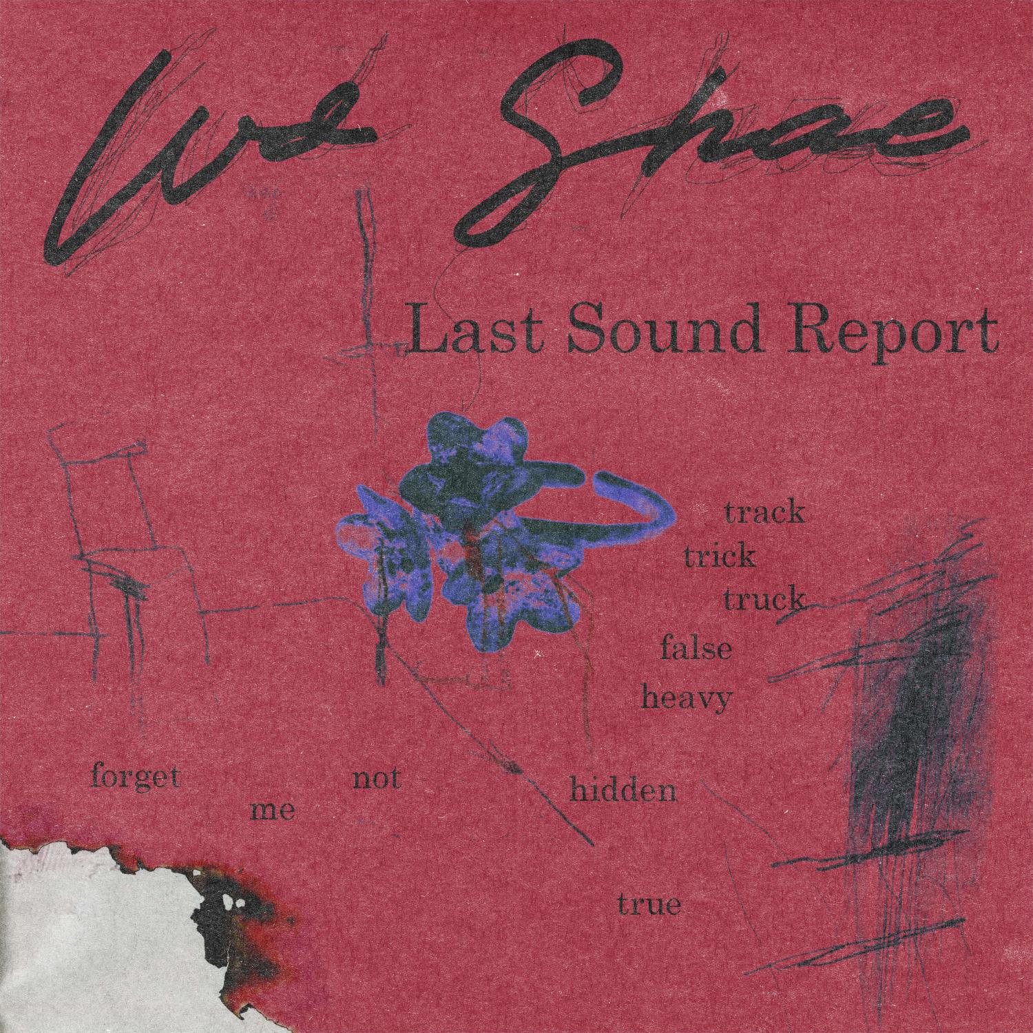 Постер альбома Last Sound Report