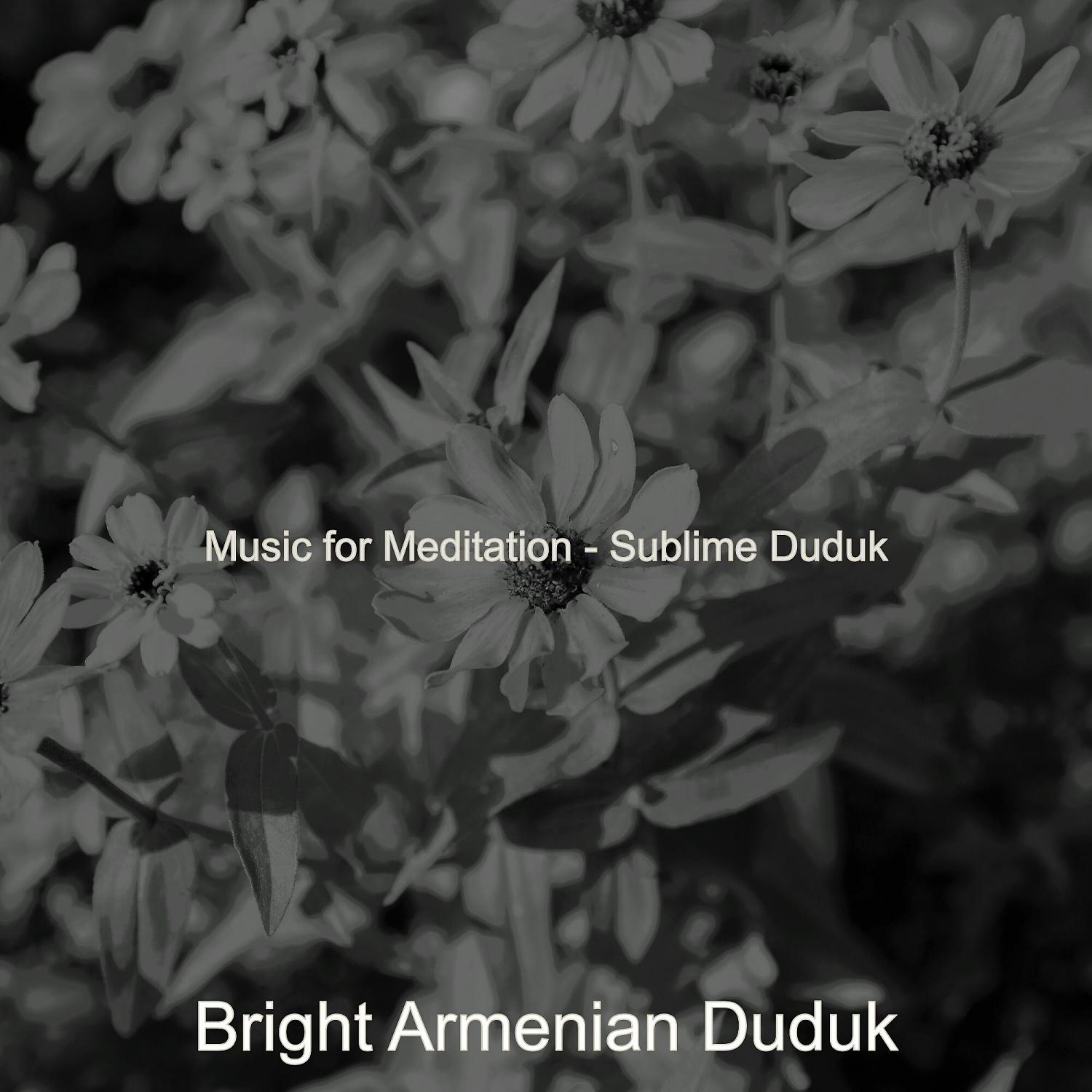 Постер альбома Music for Meditation - Sublime Duduk