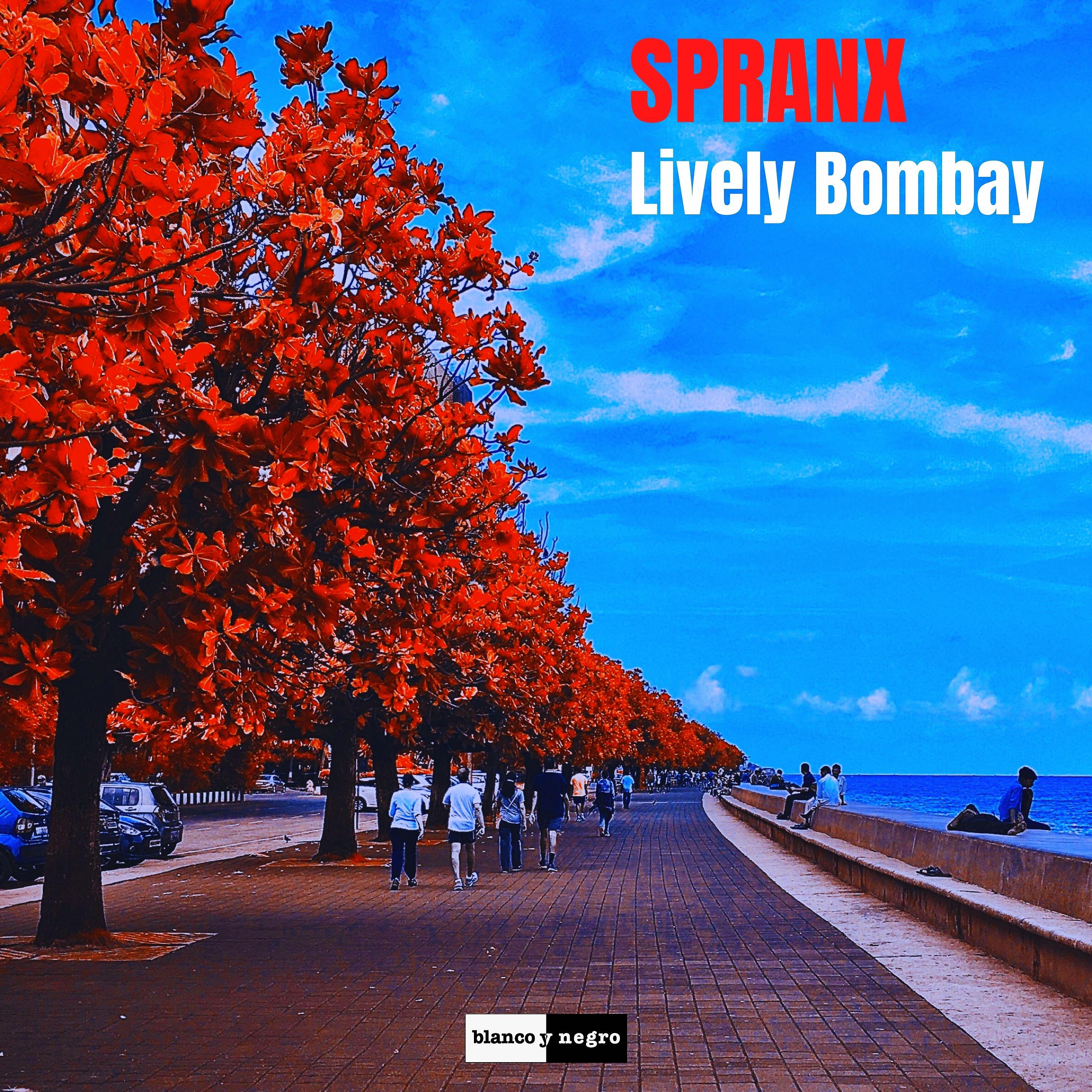 Постер альбома Lively Bombay
