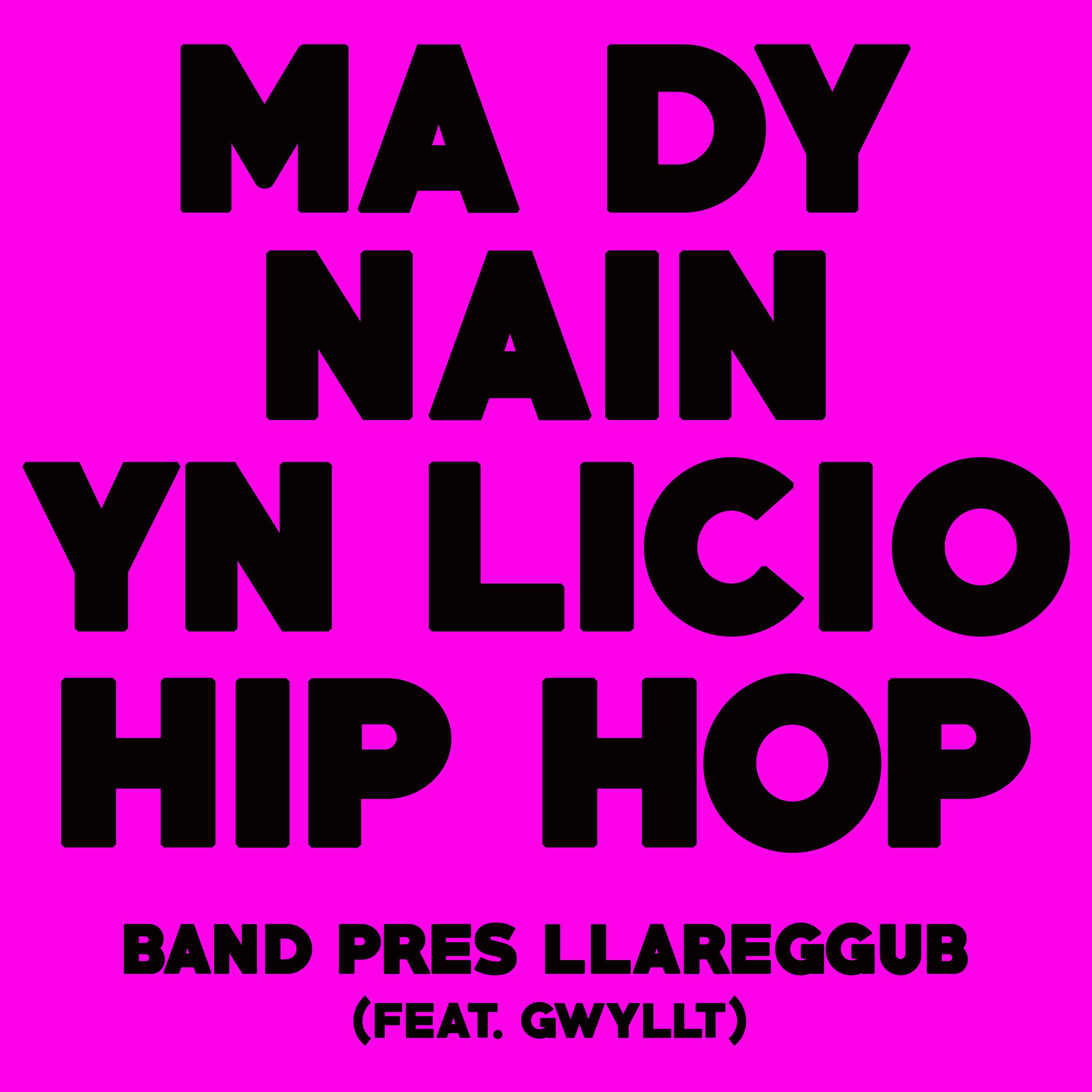 Постер альбома Mae Dy Nain yn Licio Hip Hop