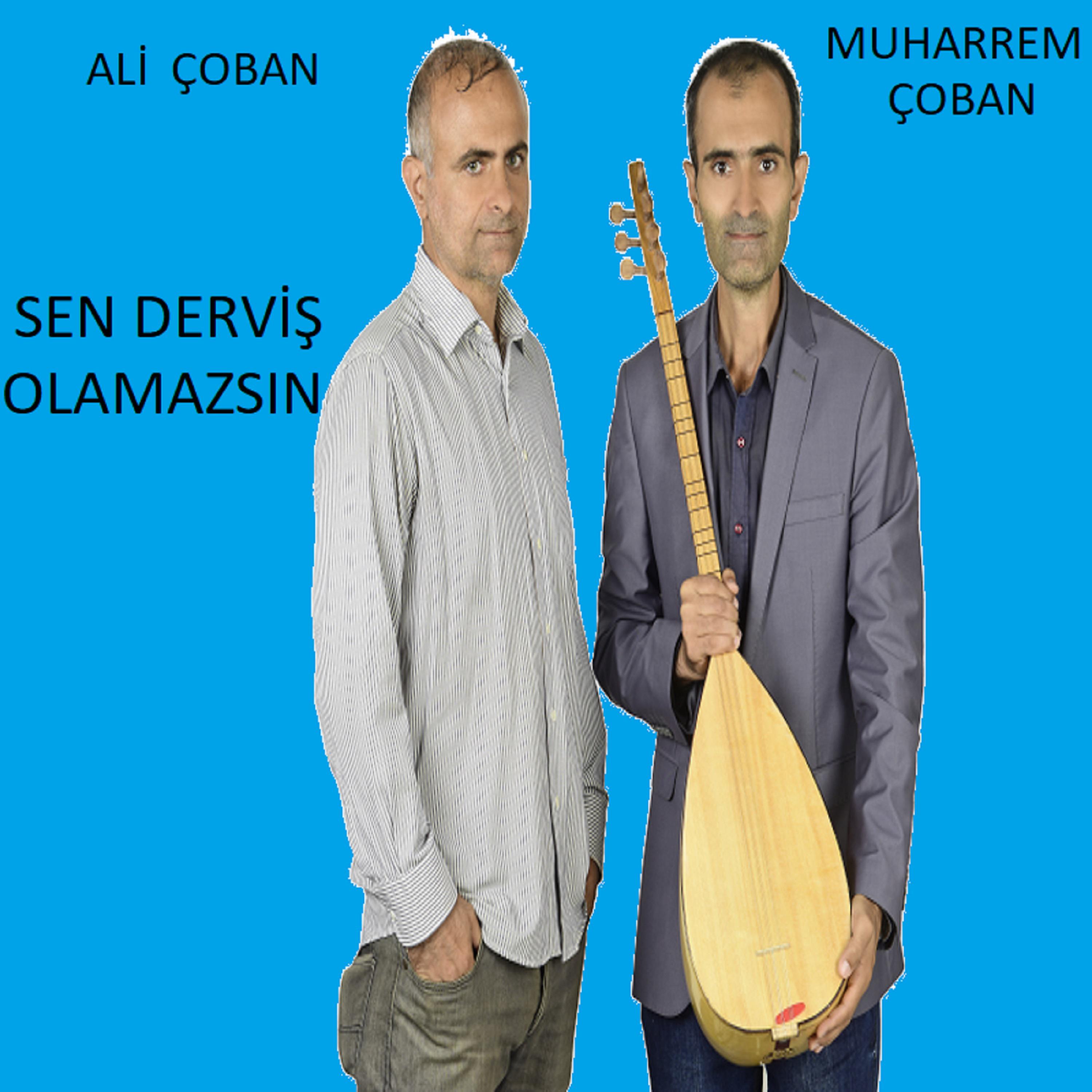 Постер альбома Sen Derviş Olamazsın