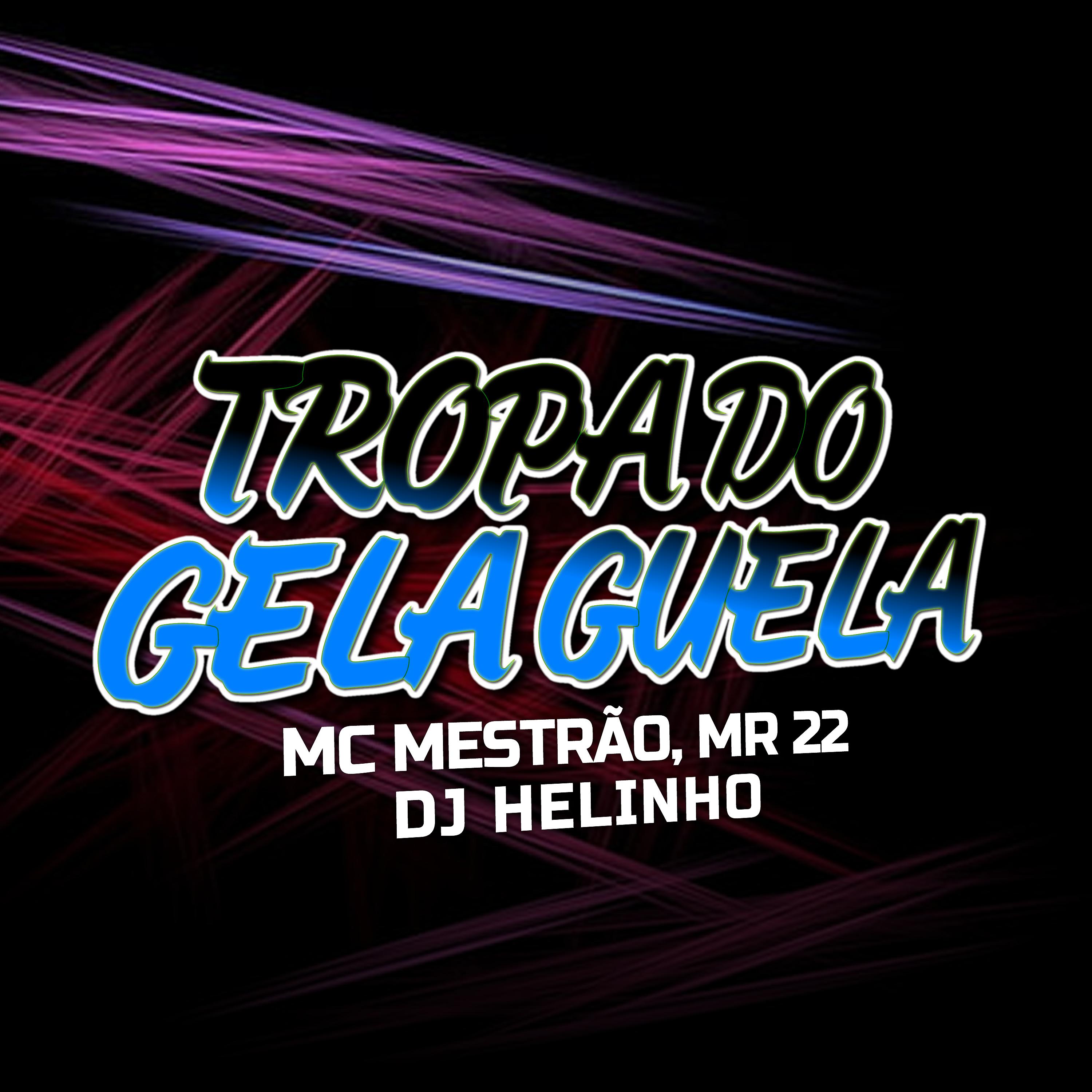 Постер альбома Tropa do Gela Guela