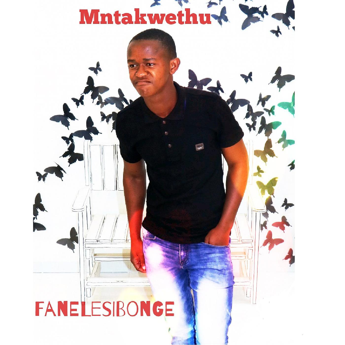 Постер альбома Mntakwethu