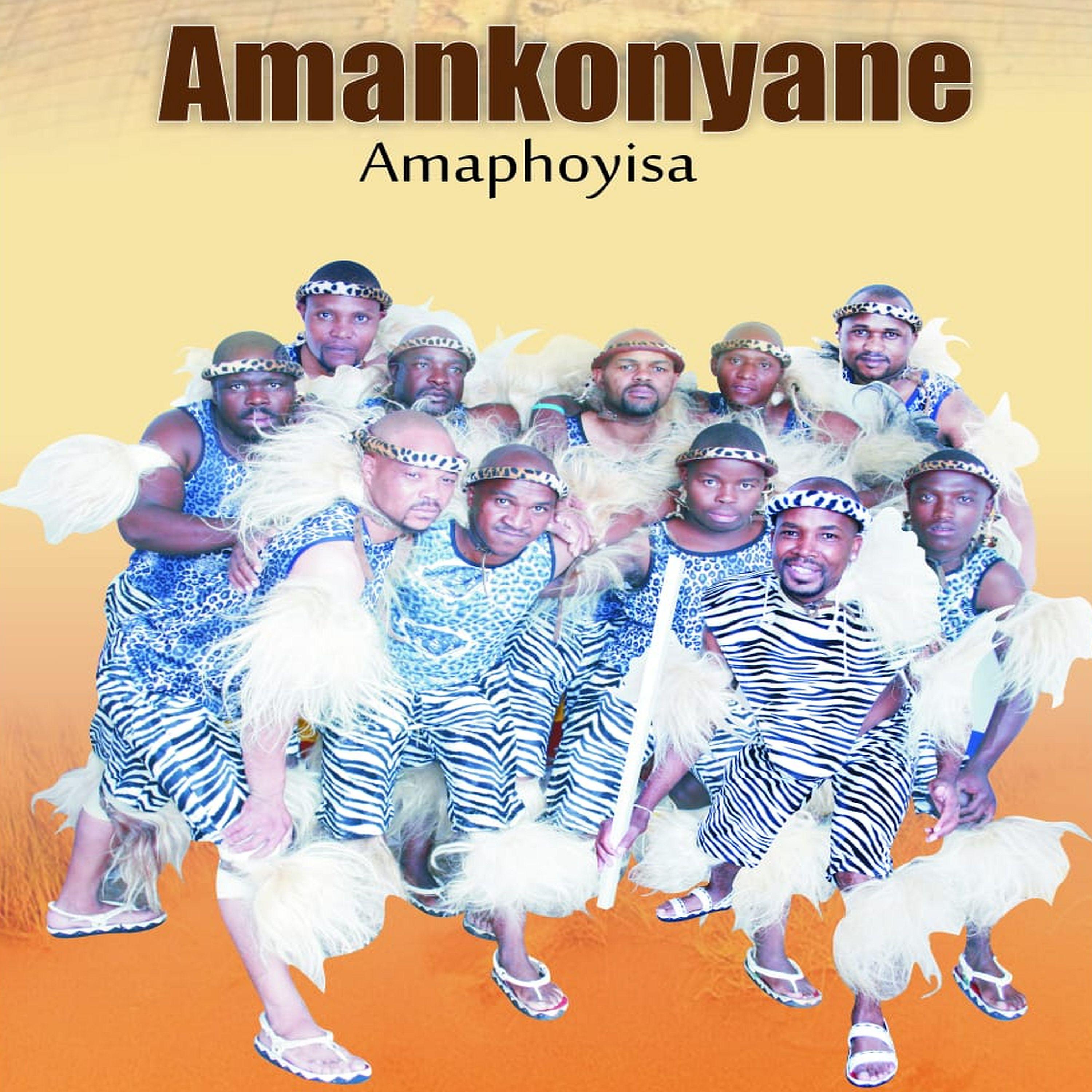 Постер альбома Amaphoyisa