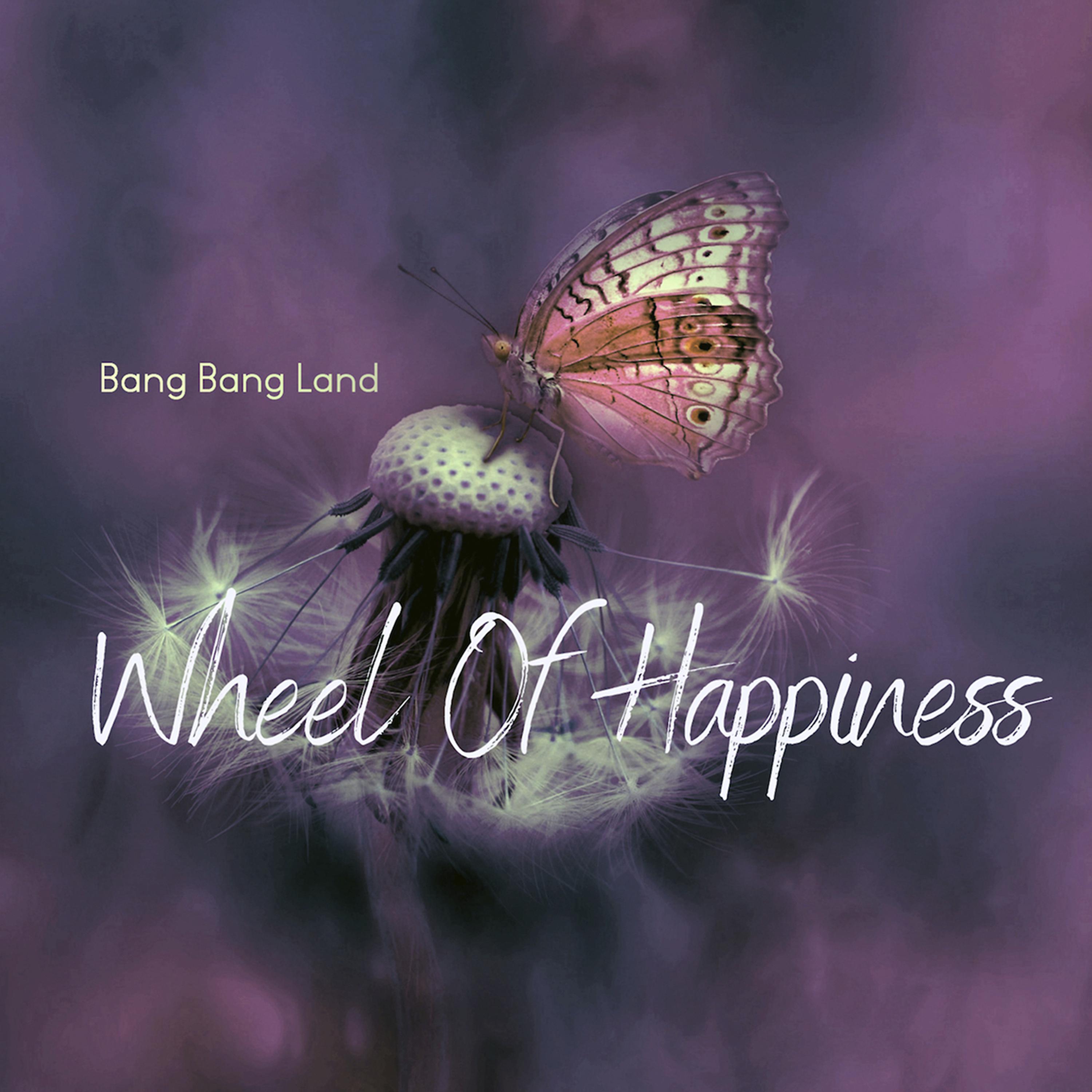 Постер альбома Wheel of Happiness