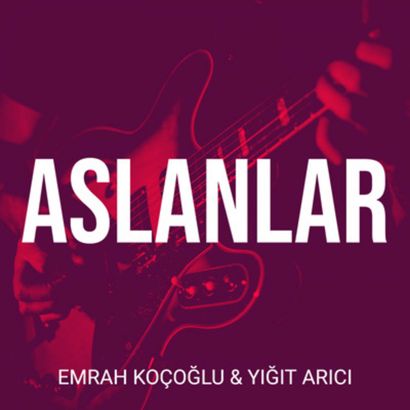 Постер альбома Aslanlar