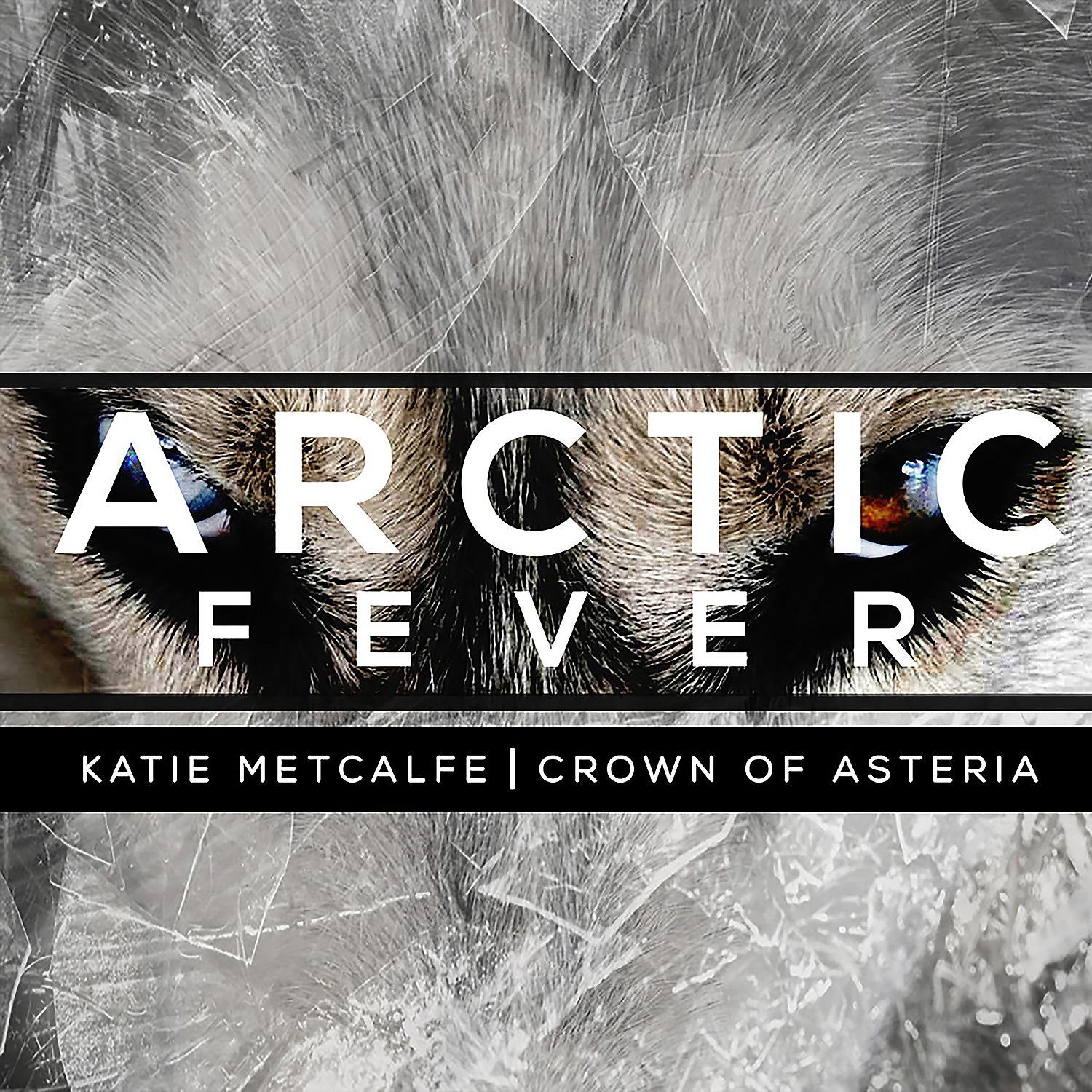 Постер альбома Arctic Fever