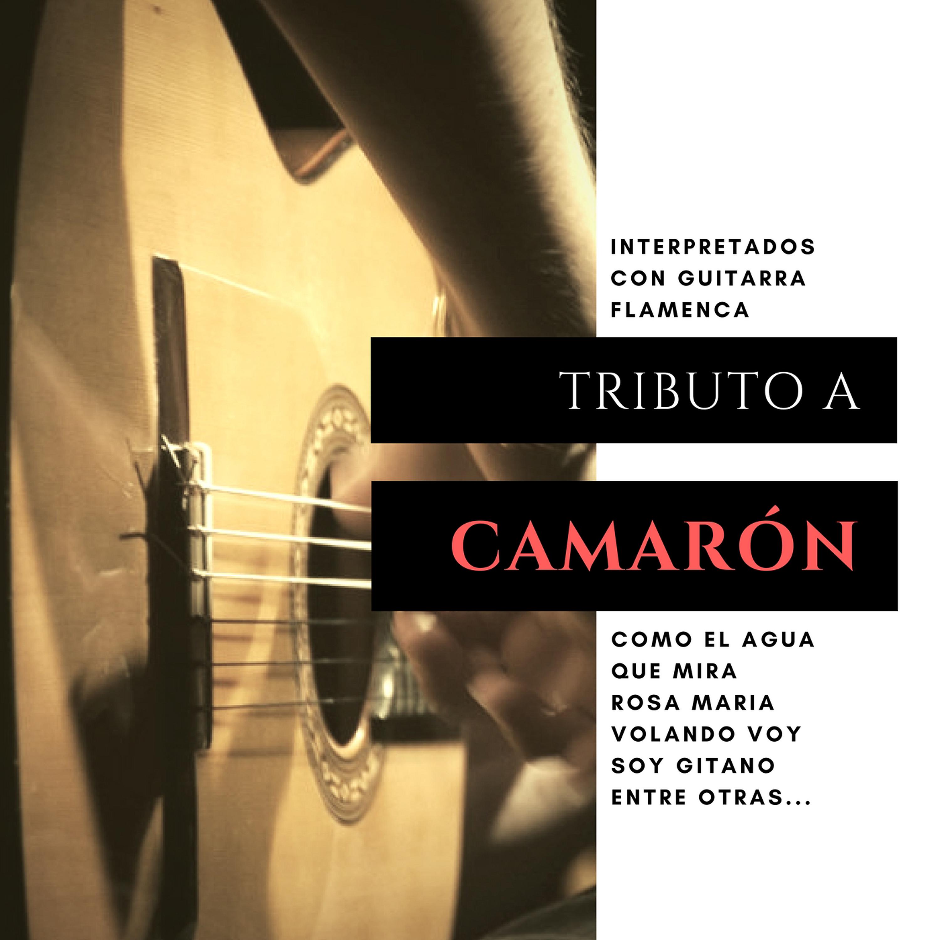 Постер альбома Tributo a Camarón