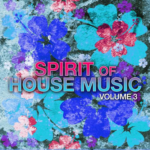 Постер альбома Spirit of House Music, Vol. 3