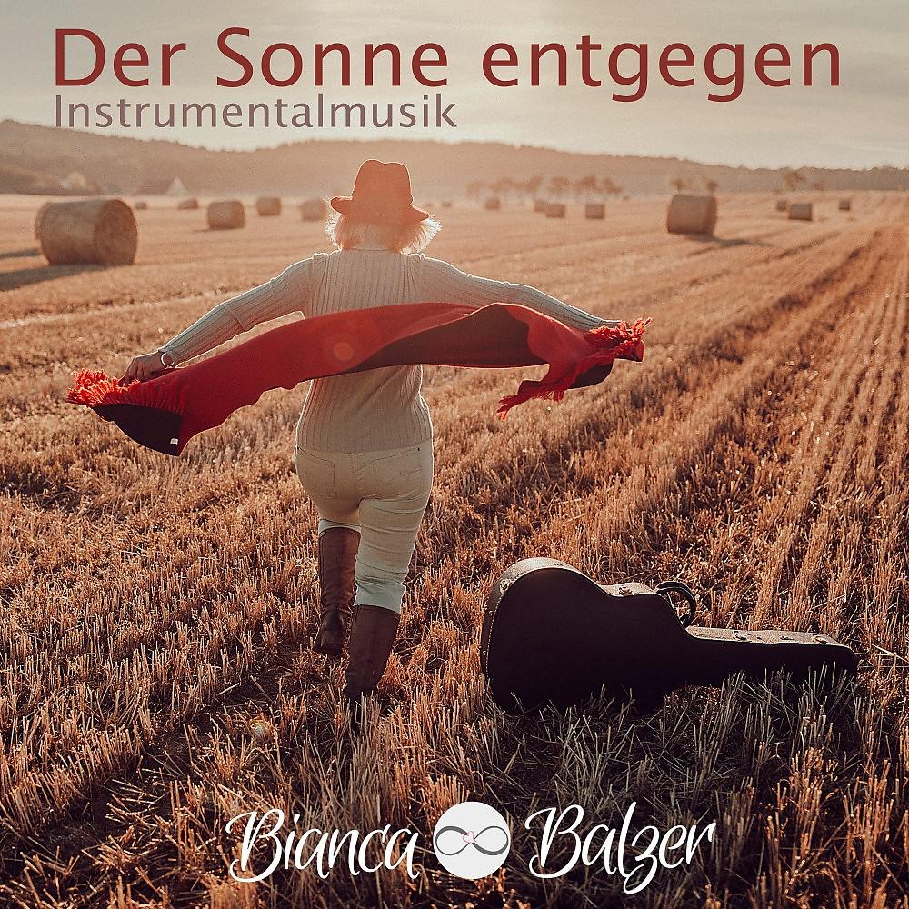 Постер альбома Der Sonne entgegen