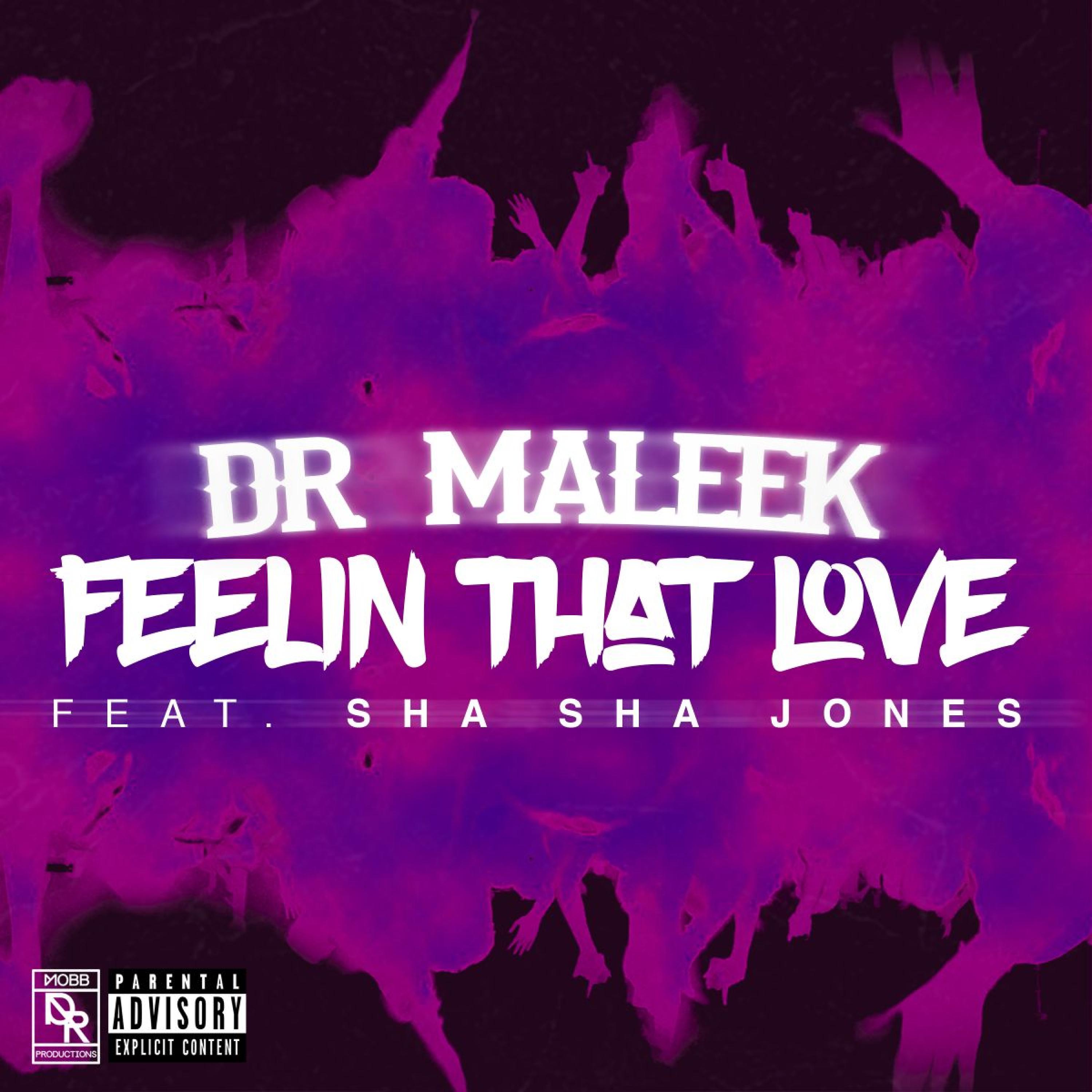 Постер альбома Feelin' That Love (feat. Sha Sha Jones)