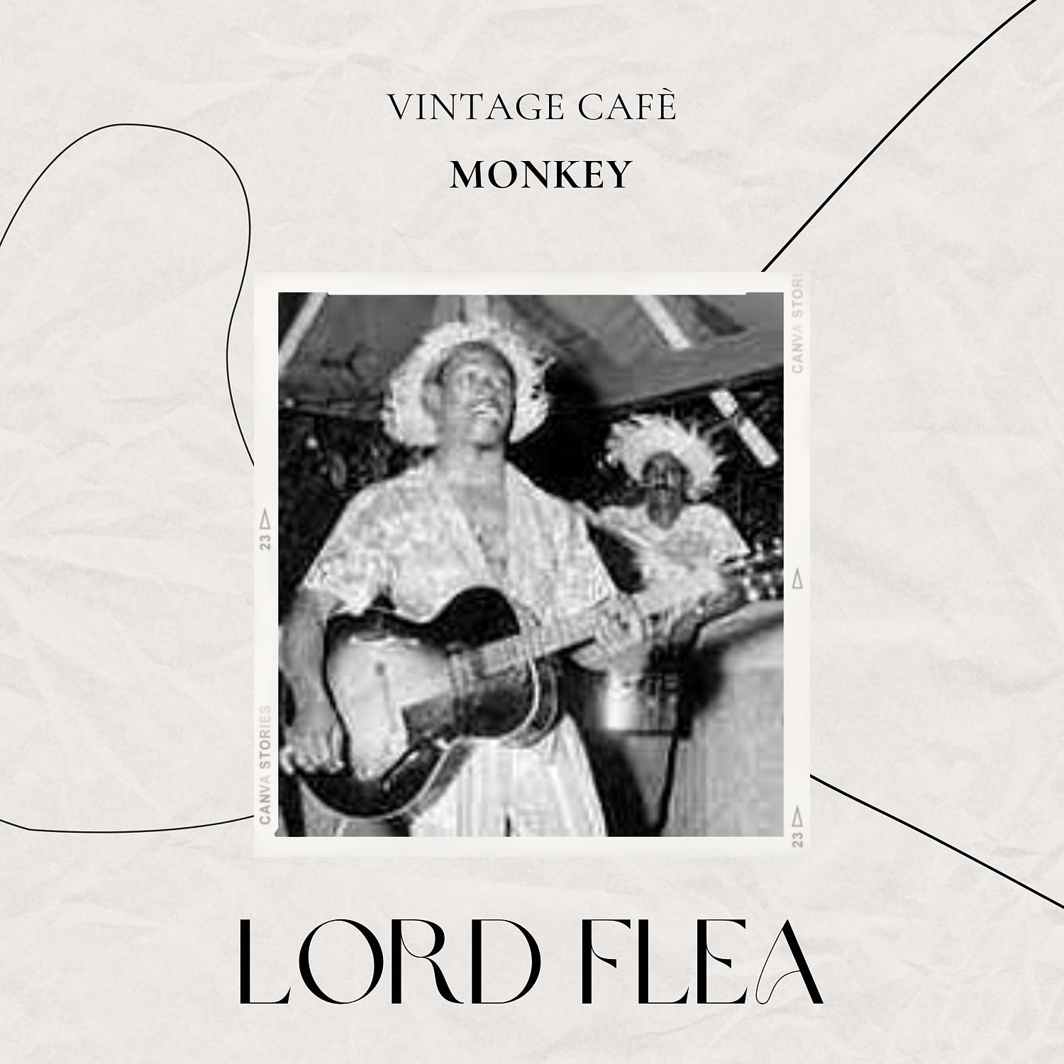 Постер альбома Vintage Cafè: Monkey