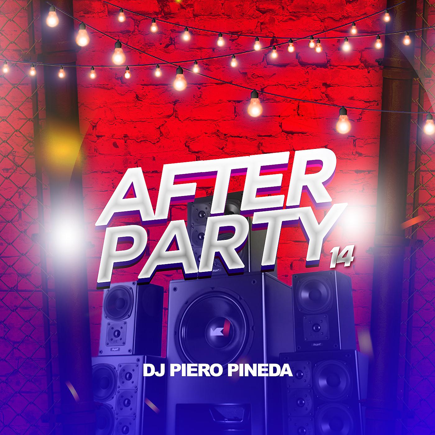 Постер альбома After Party 14