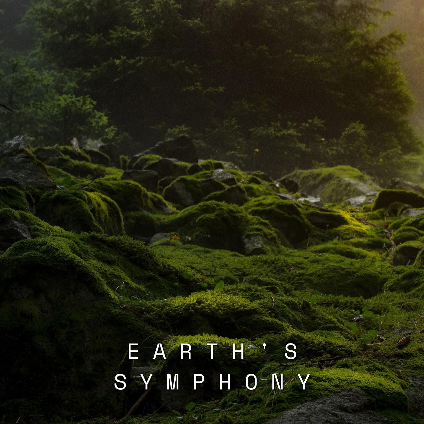 Постер альбома Earth's Symphony