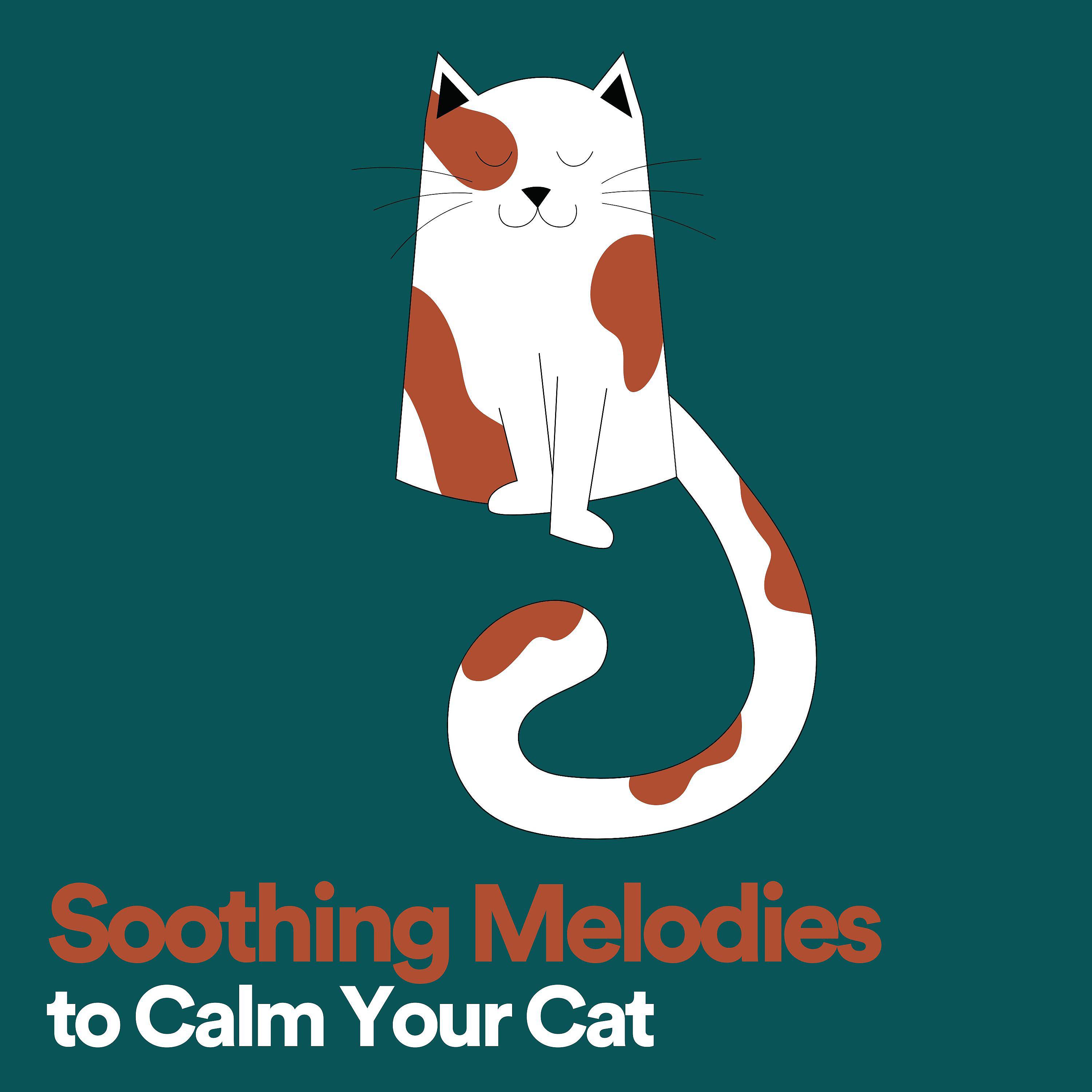 Постер альбома Soothing Melodies to Calm Your Cat