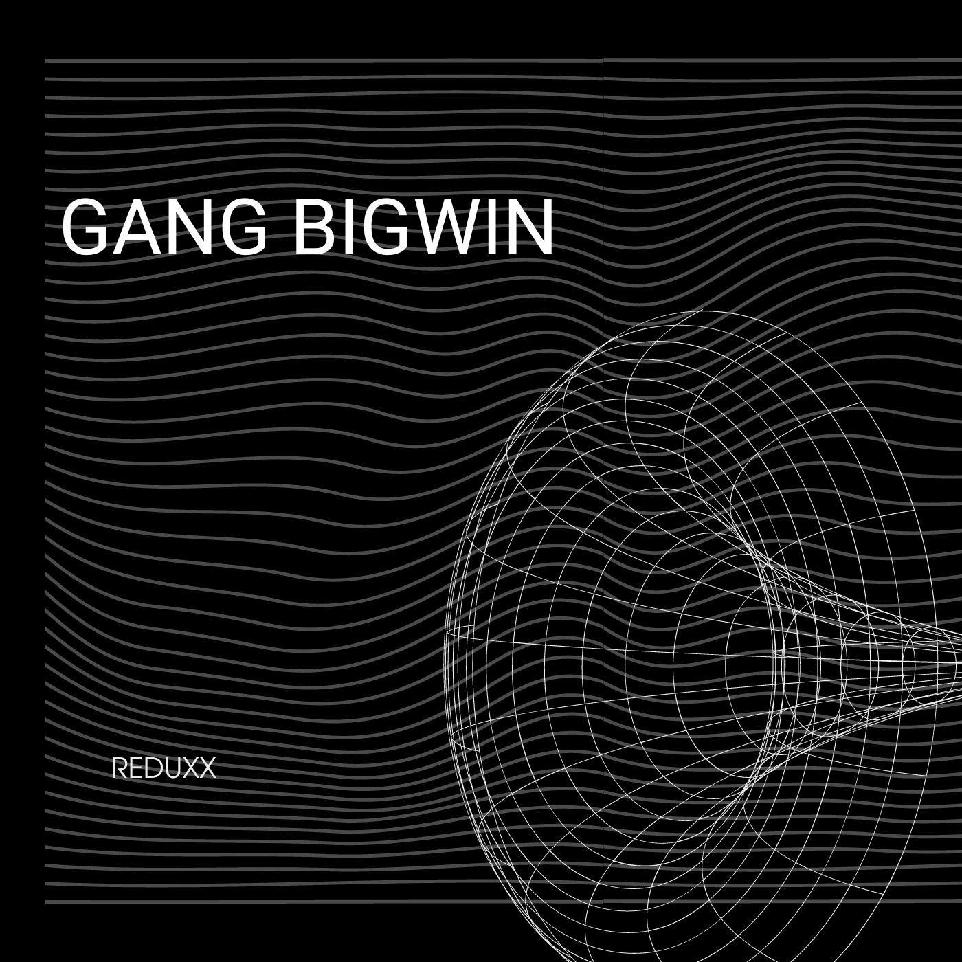 Постер альбома Gang Bigwin