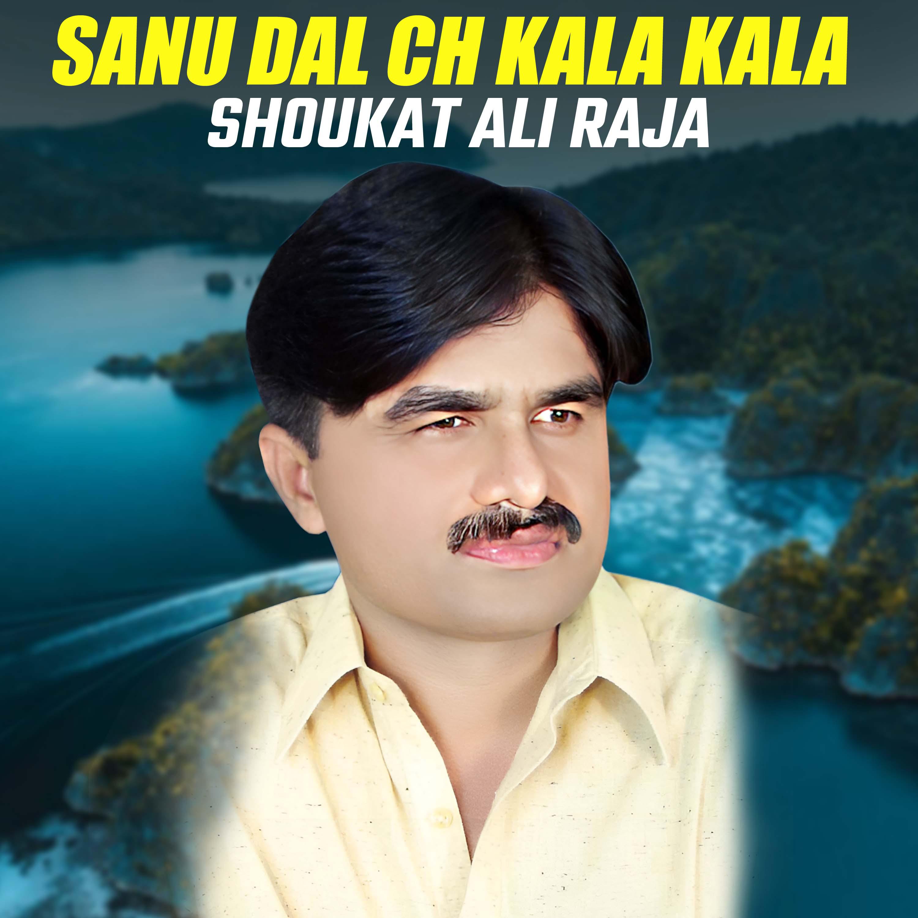 Постер альбома Sanu Dal Ch Kala Kala