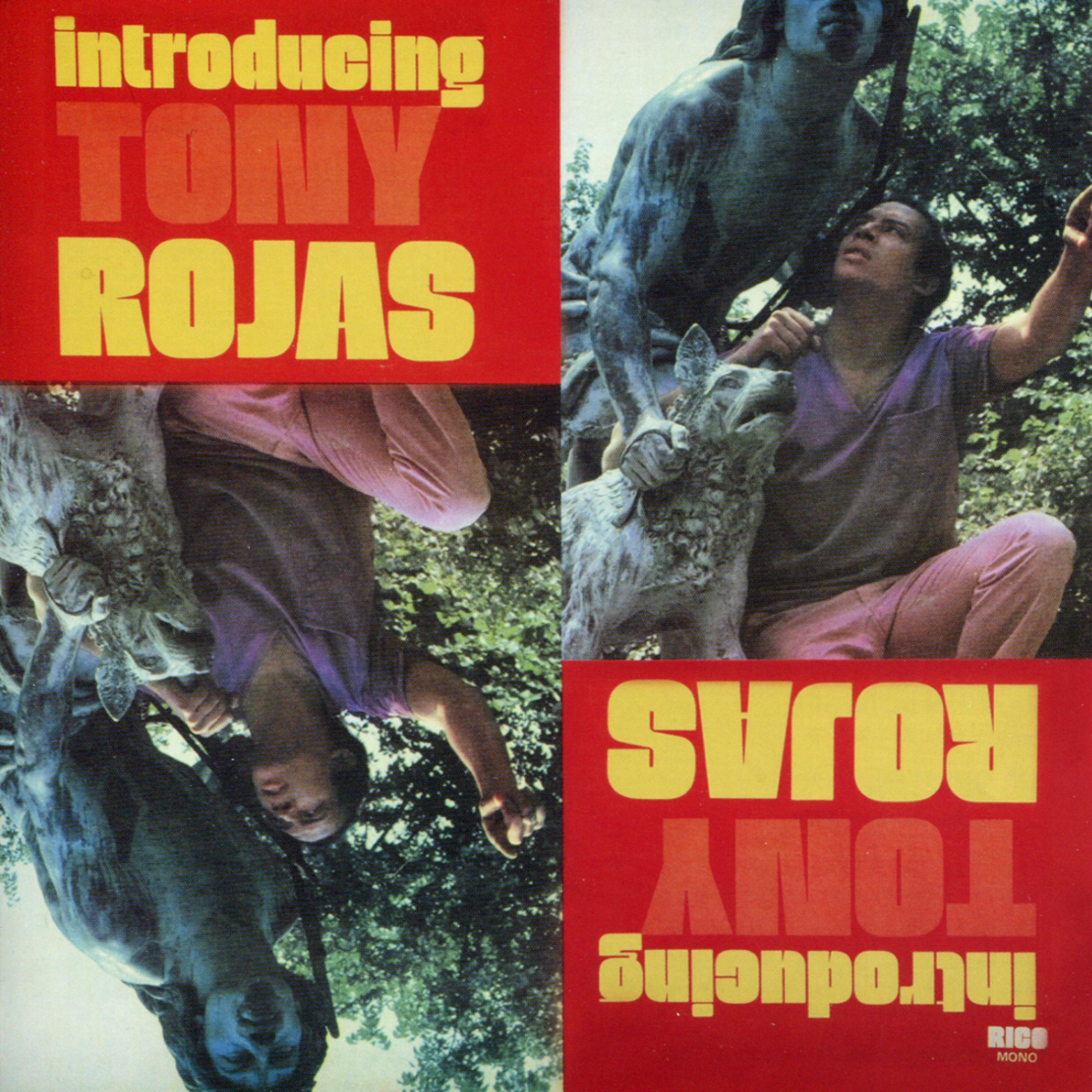 Постер альбома Introducing Tony Rojas