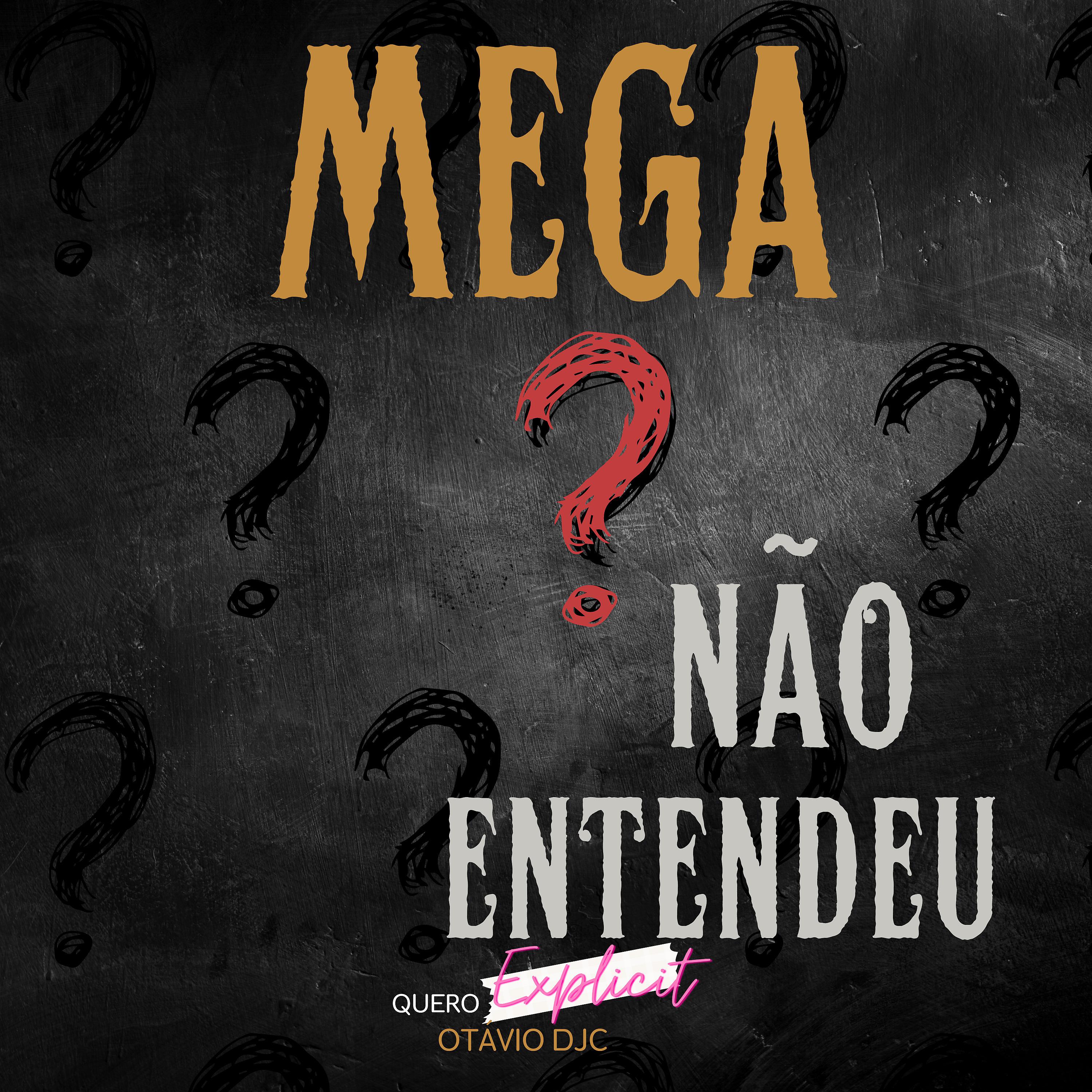 Постер альбома Não Entendeu? Mega