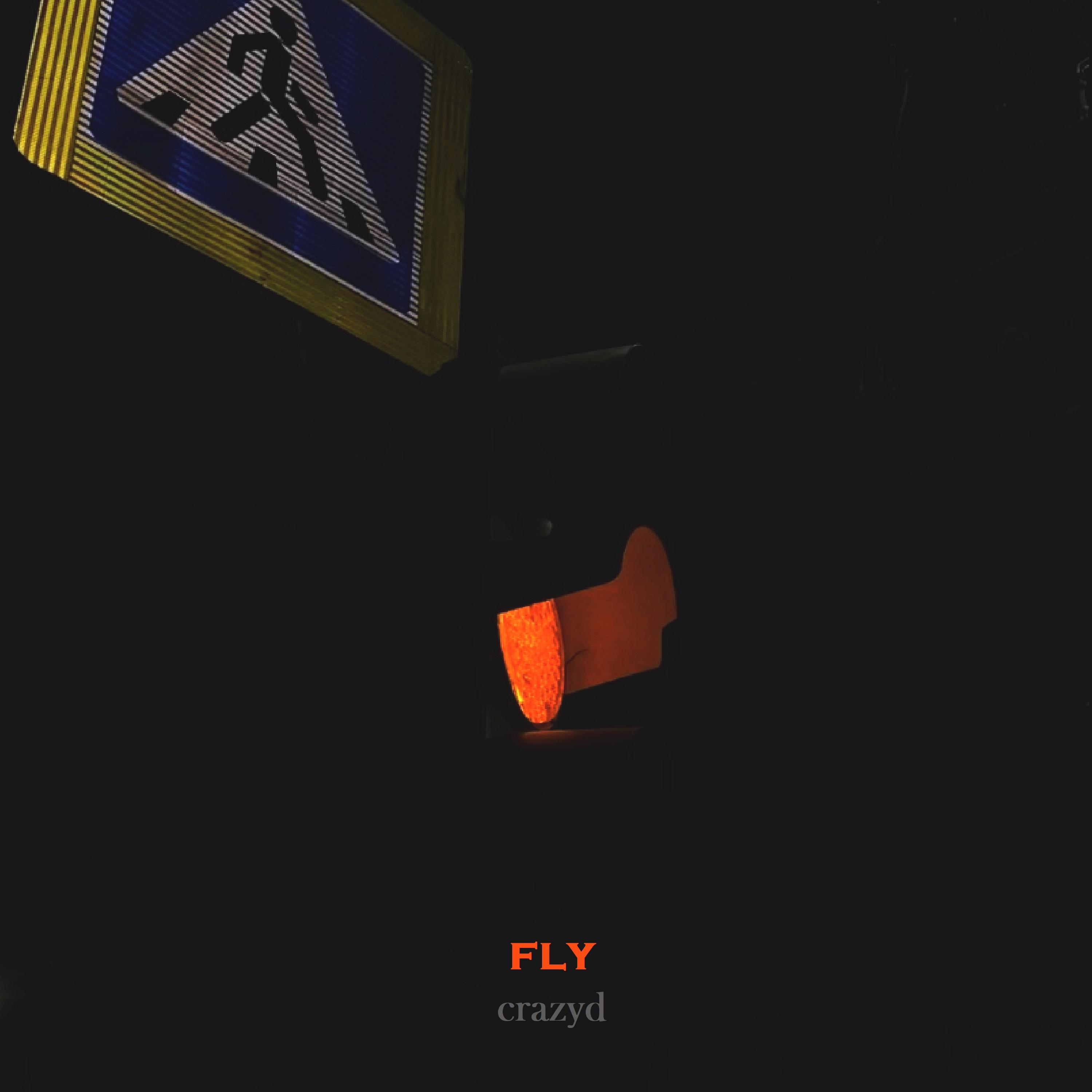 Постер альбома fly