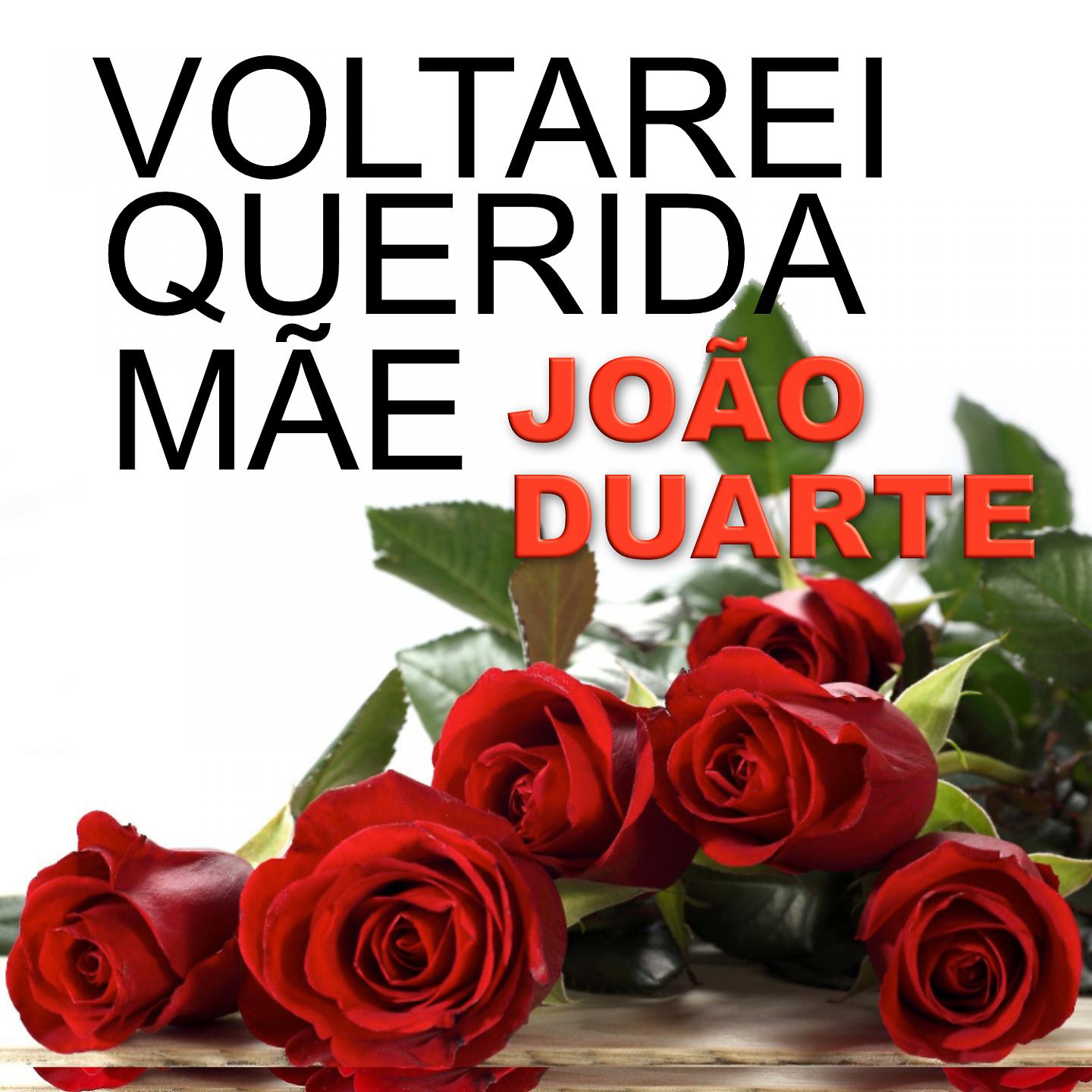 Постер альбома Voltarei Querida Mãe