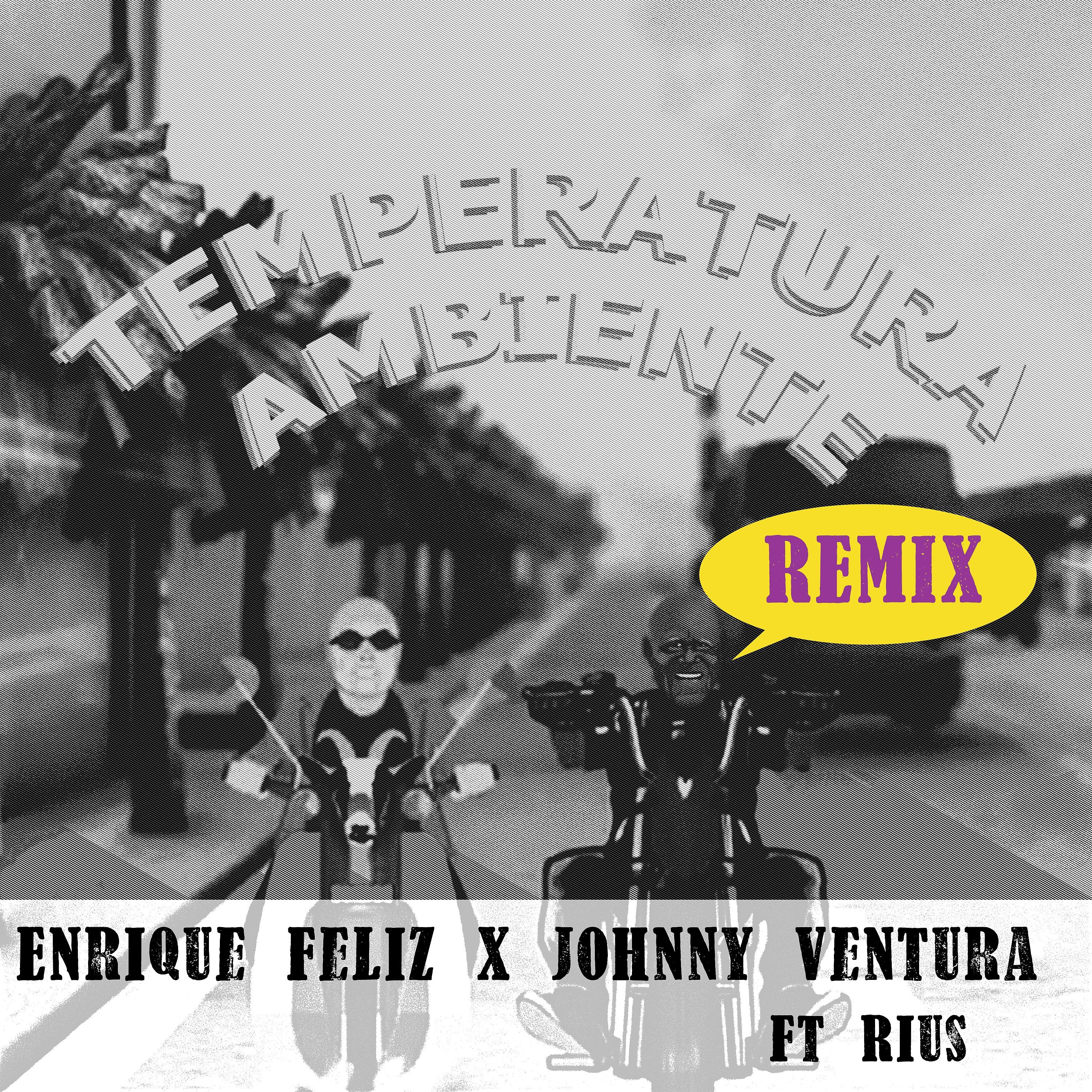 Постер альбома Temperatura Ambiente (Rius Remix) [feat. Rius]