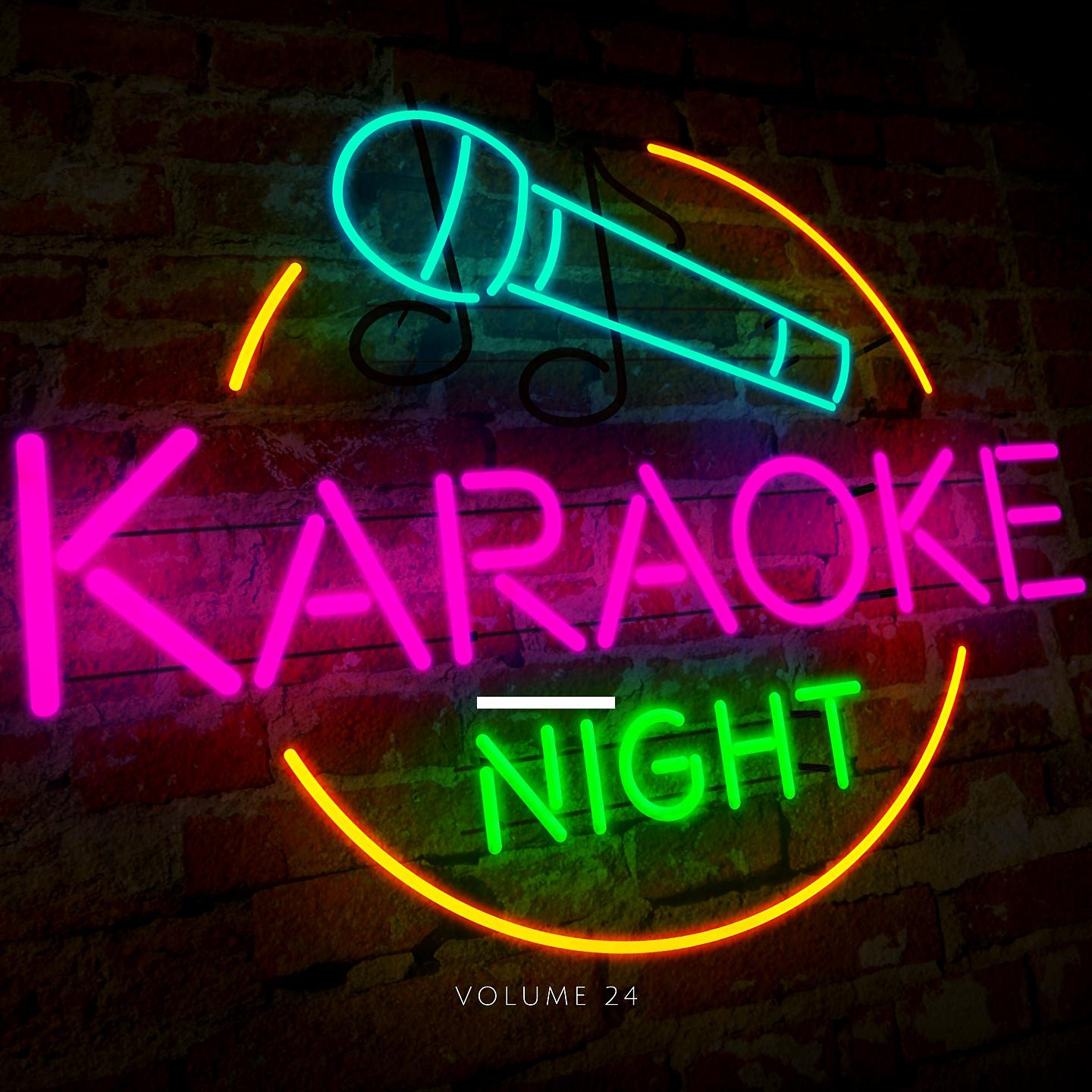 Постер альбома Karaoke Night, Vol. 24