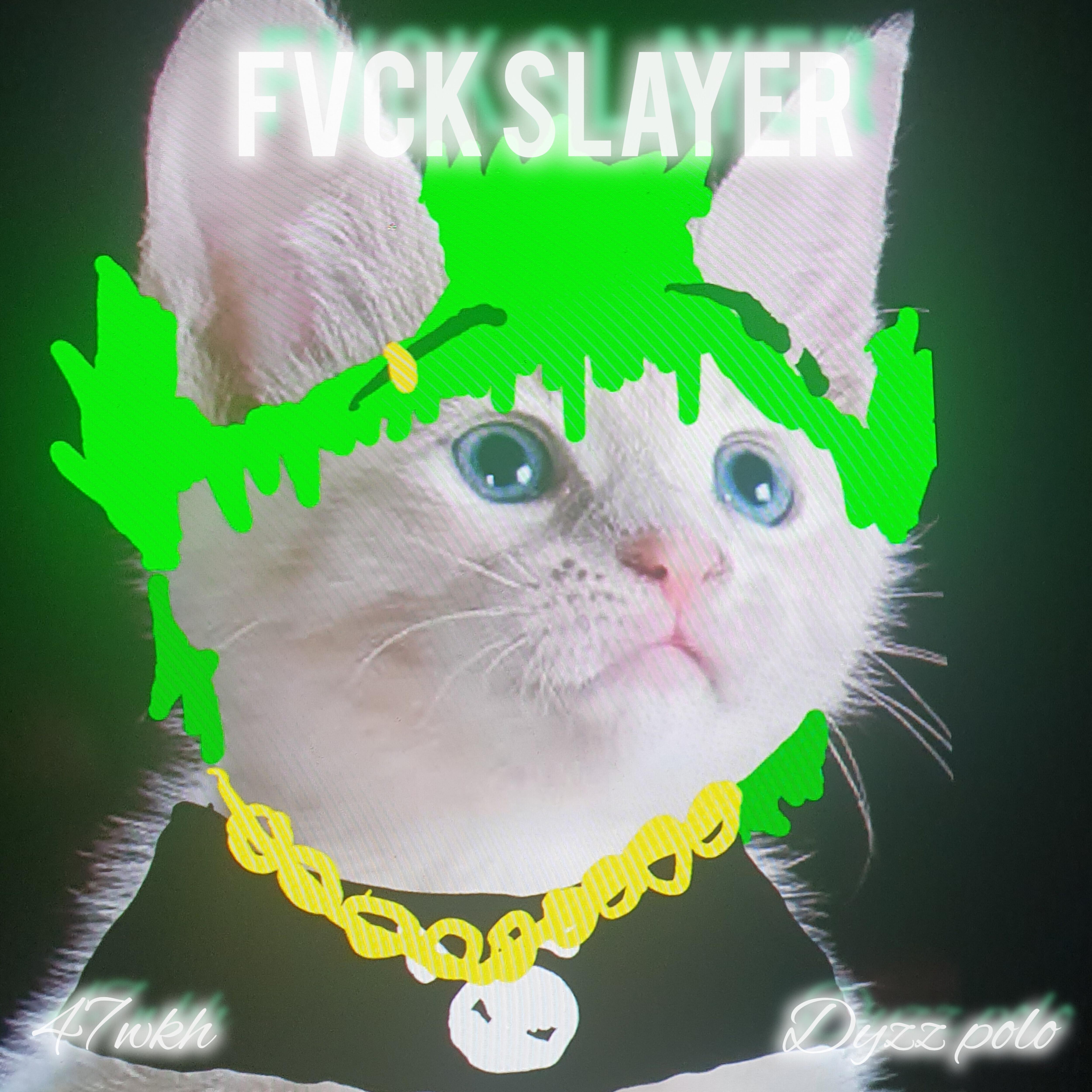 Постер альбома Fvck Slayer
