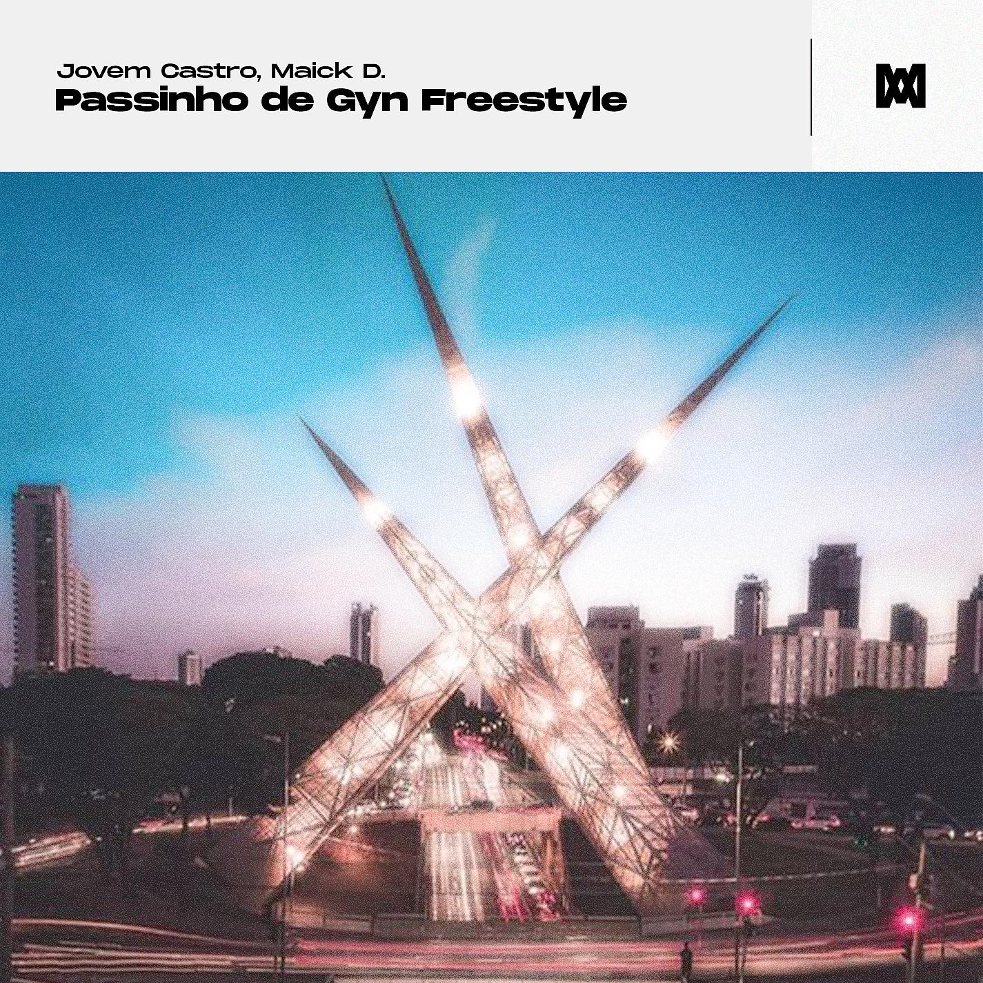 Постер альбома Passinho de Gyn Freestyle