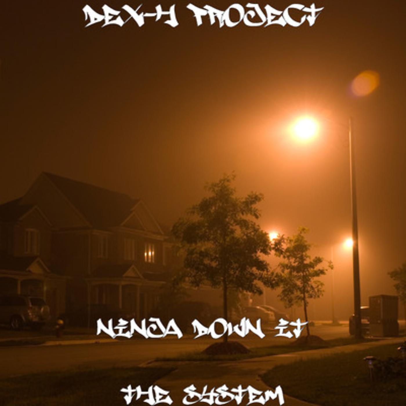 Постер альбома Ninja Down It the System