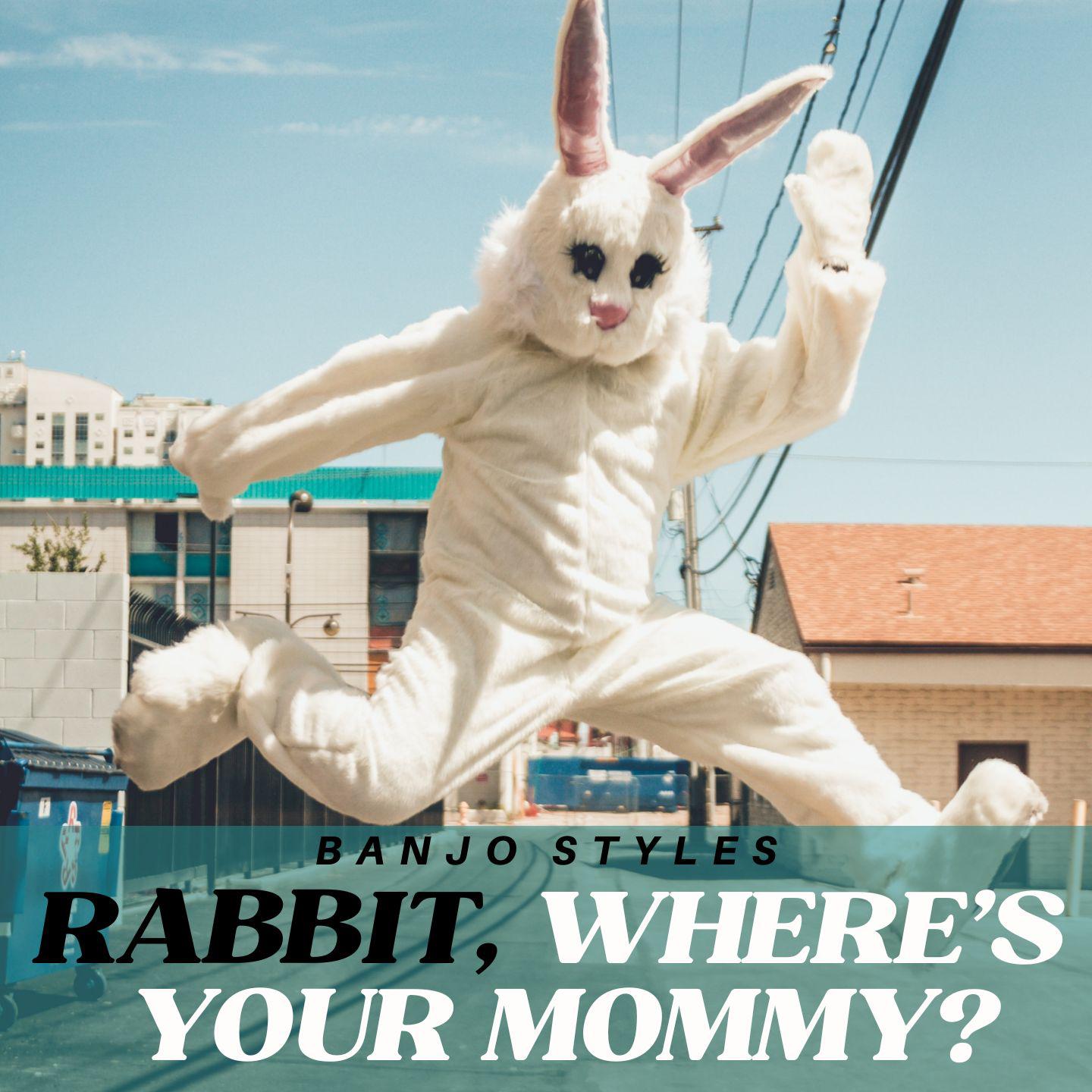 Постер альбома Rabbit, Where's Your Mommy? - Banjo Styles
