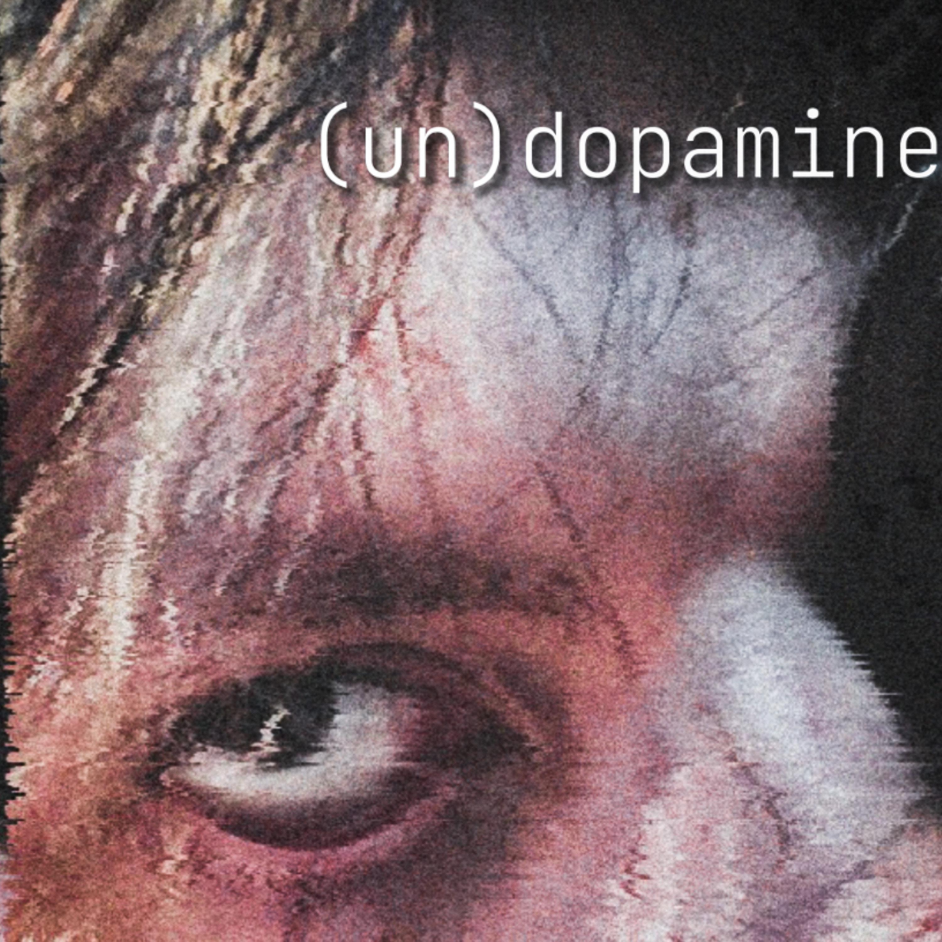Постер альбома (Un) Dopamine