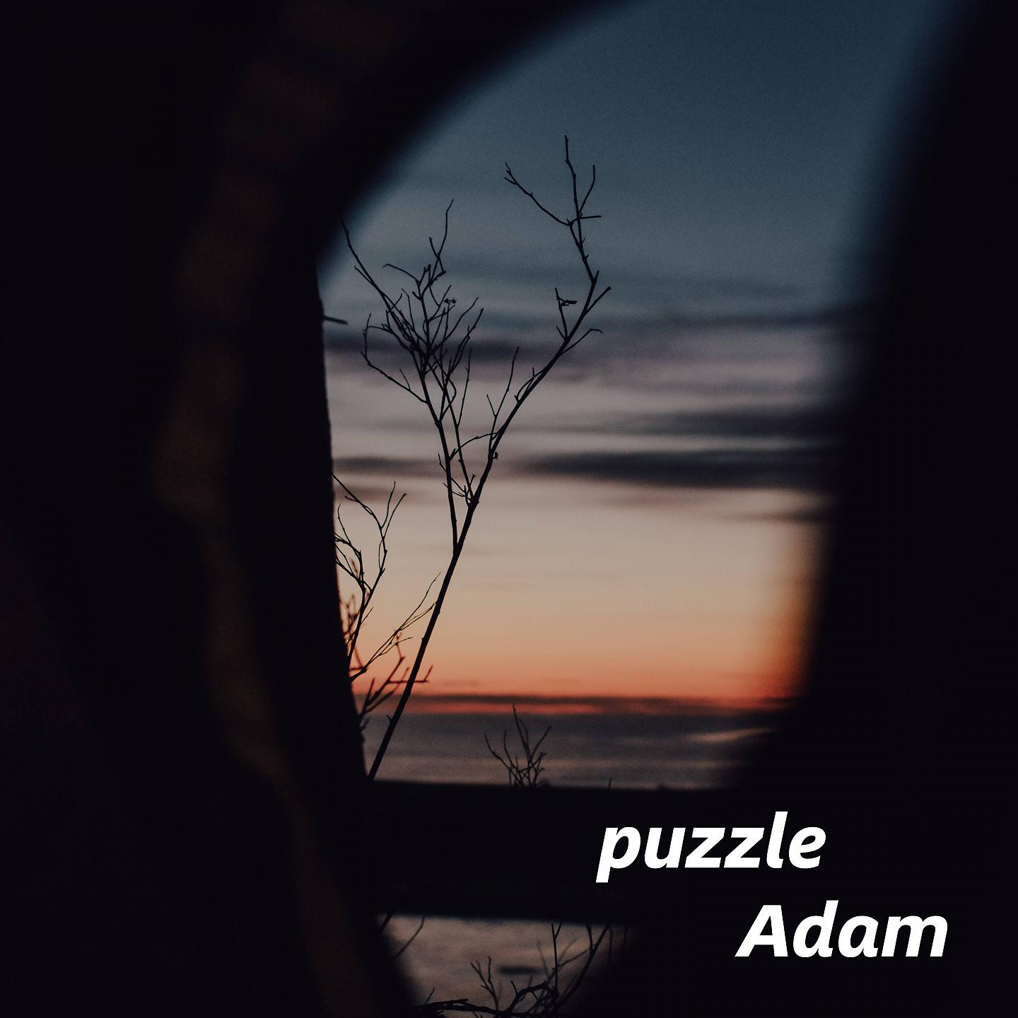 Постер альбома puzzle