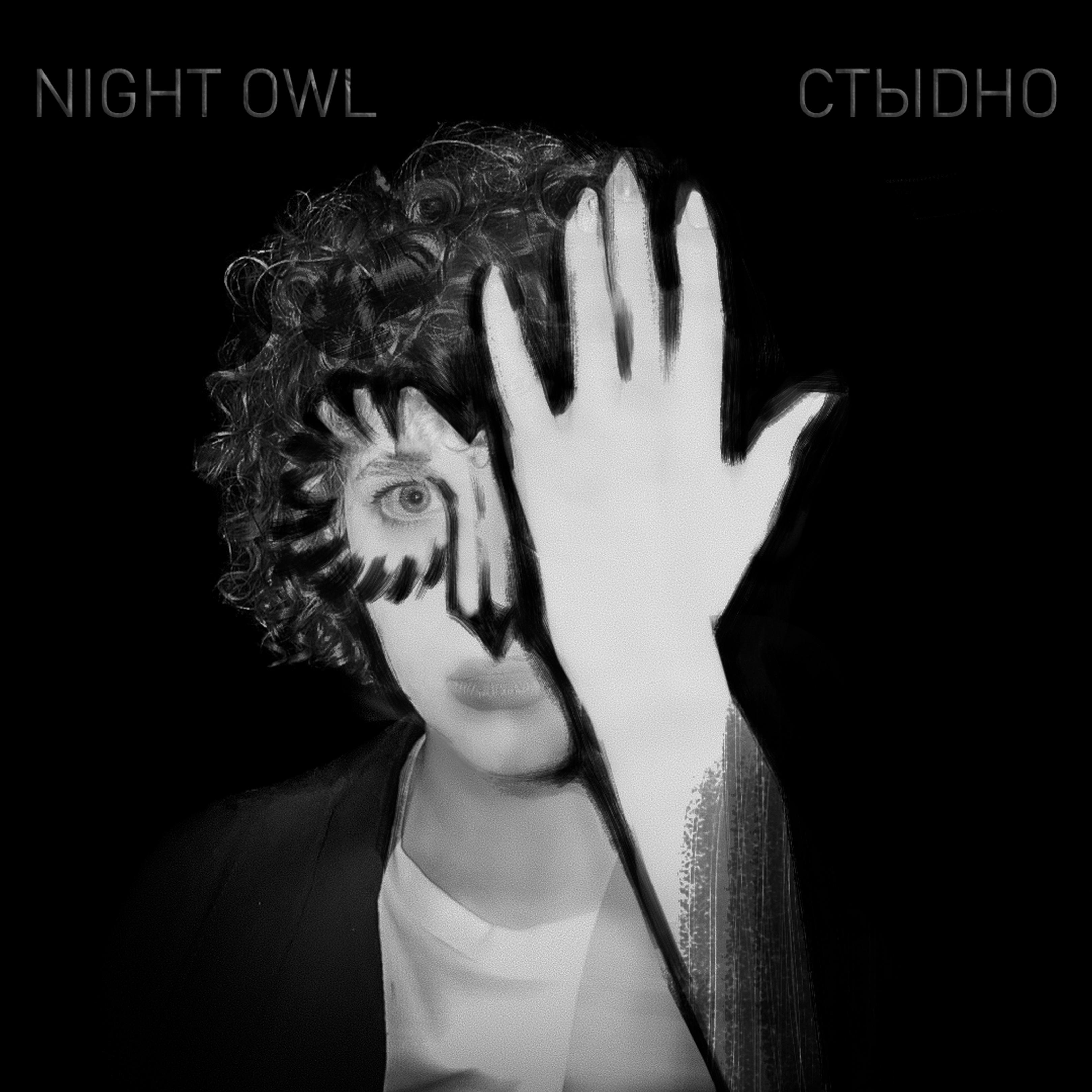 Постер альбома Night Owl