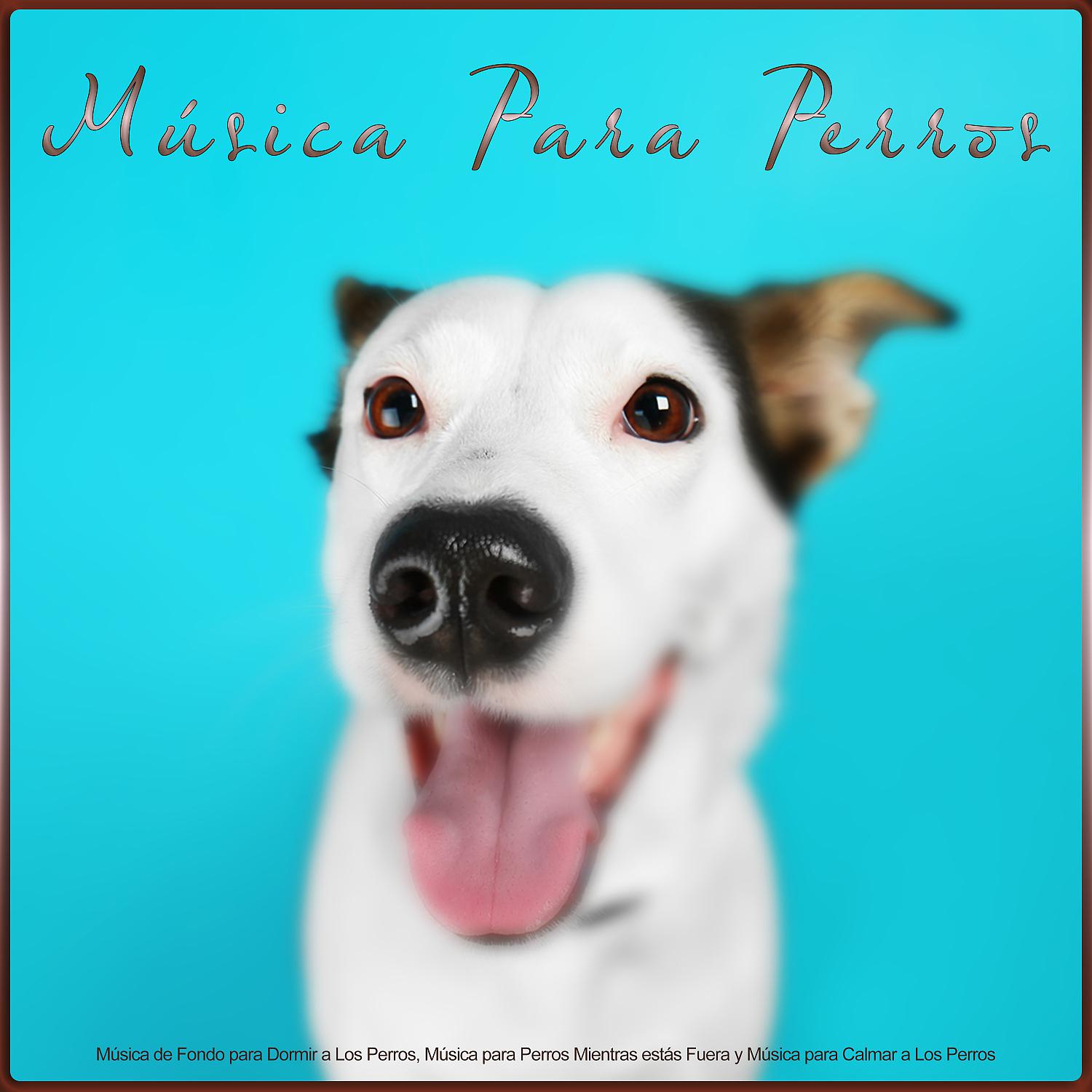Постер альбома Música Para Perros: Música de Fondo para Dormir a Los Perros, Música para Perros Mientras estás Fuera y Música para Calmar a Los Perros
