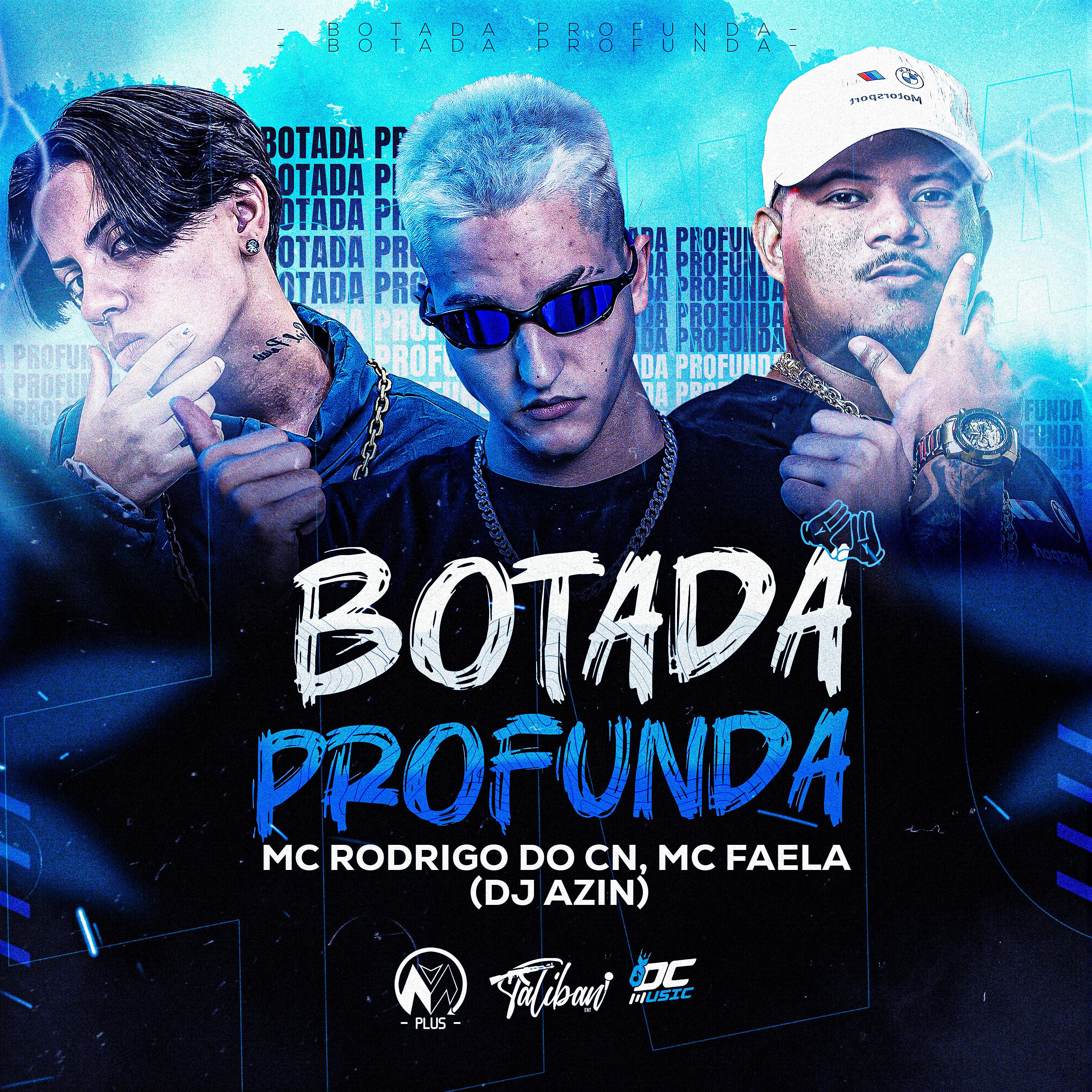 Постер альбома Botada Profunda