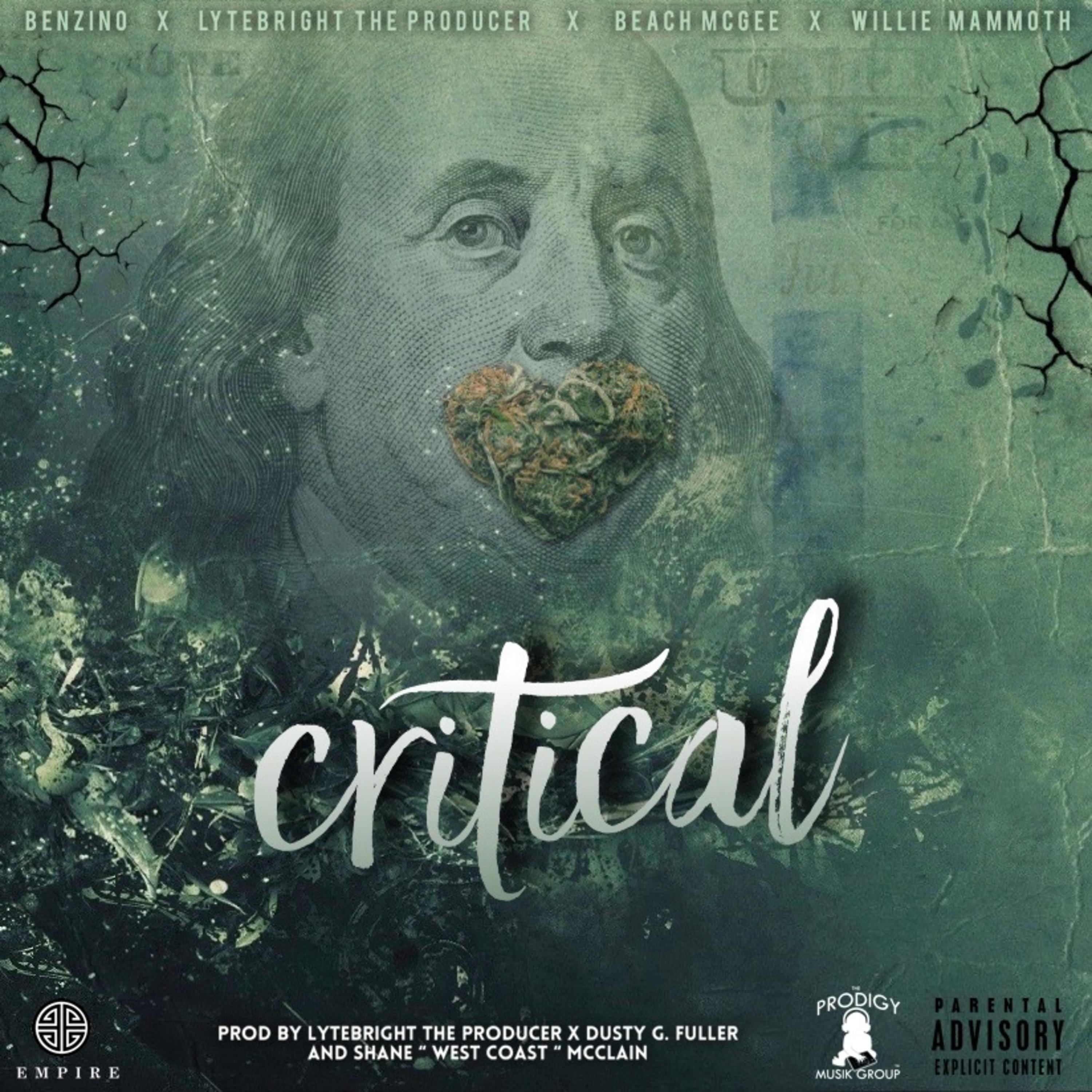 Постер альбома Critical (feat. Benzino, Beach McGee & Willie Mammoth)