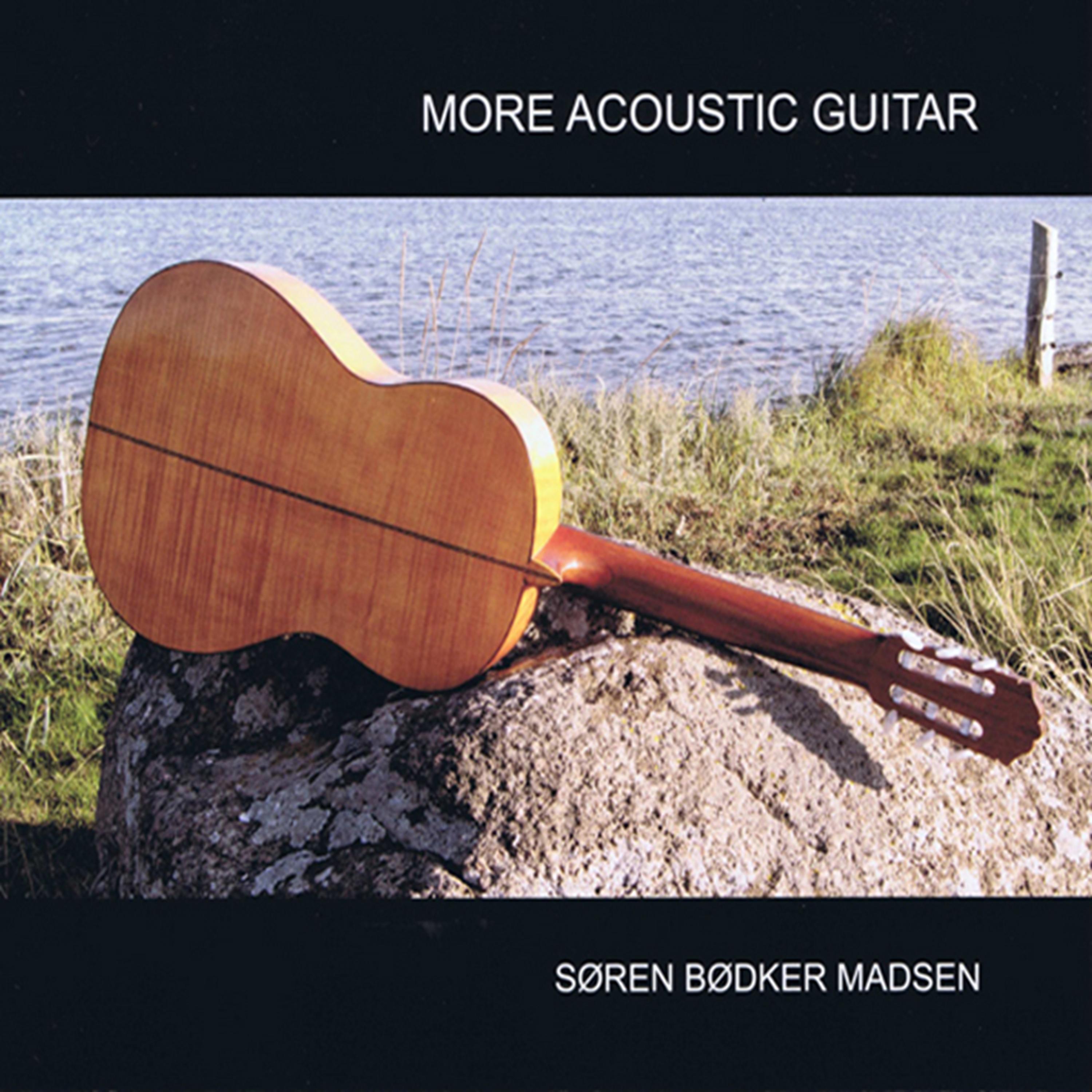 Постер альбома More Acoustic Guitar