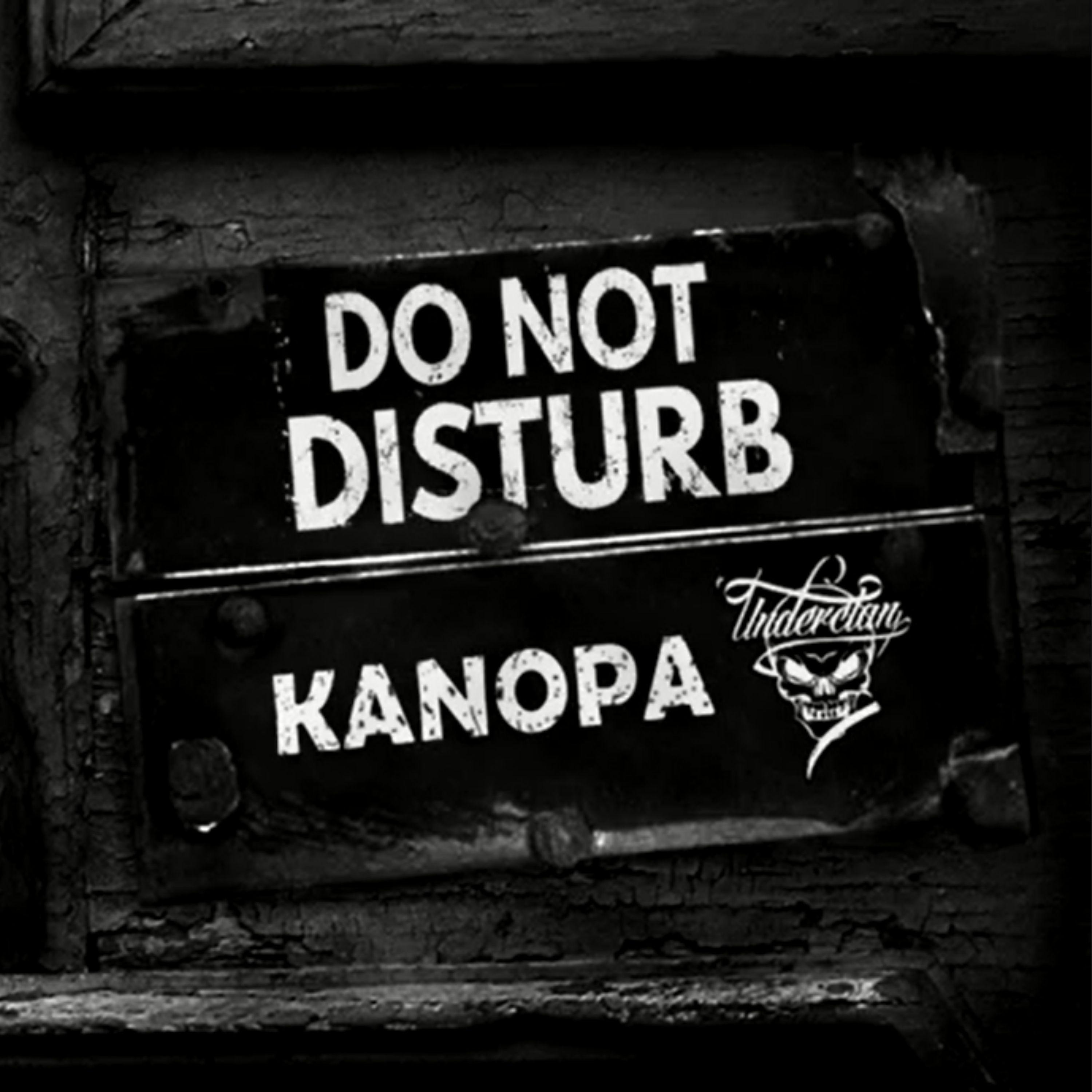 Постер альбома Do not disturb