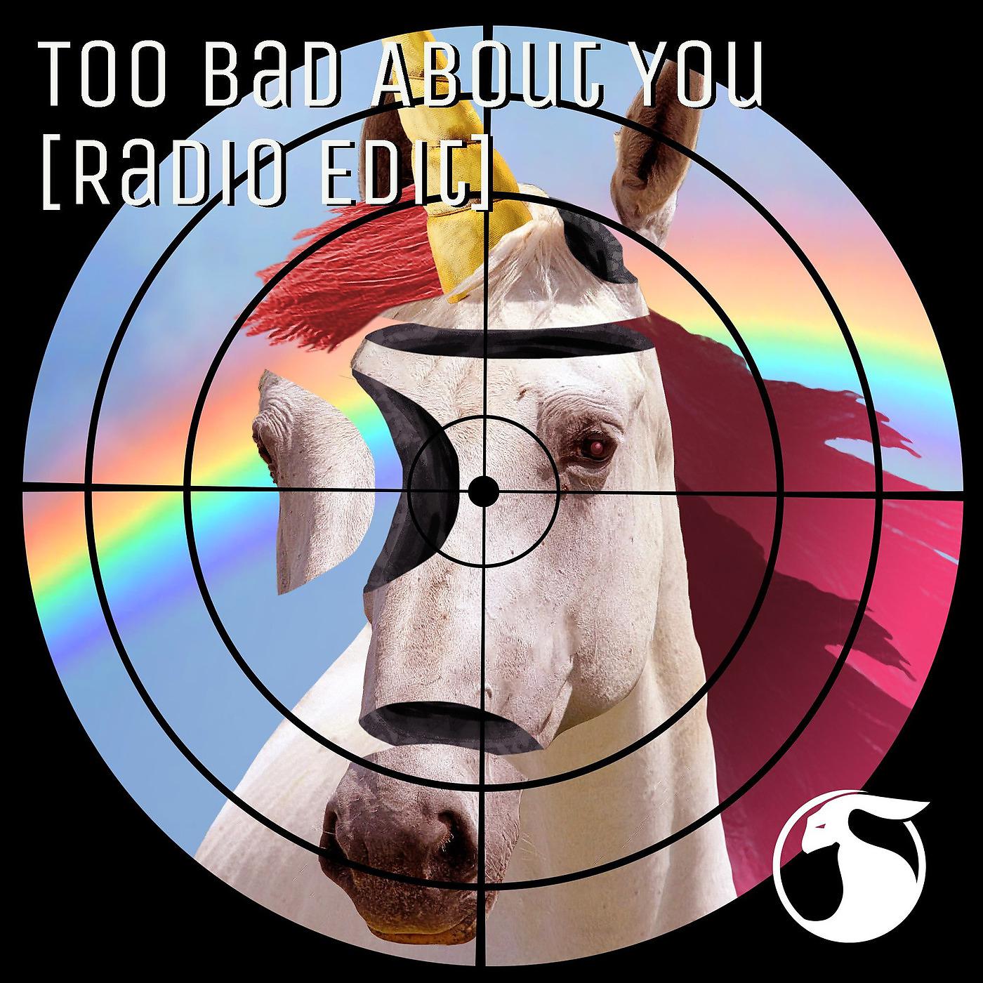 Постер альбома Too Bad About You [Radio Edit]