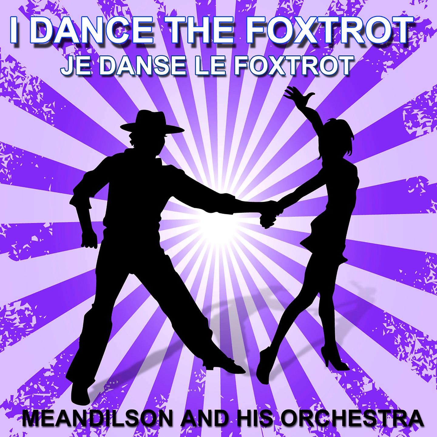 Постер альбома Je danse le foxtrot