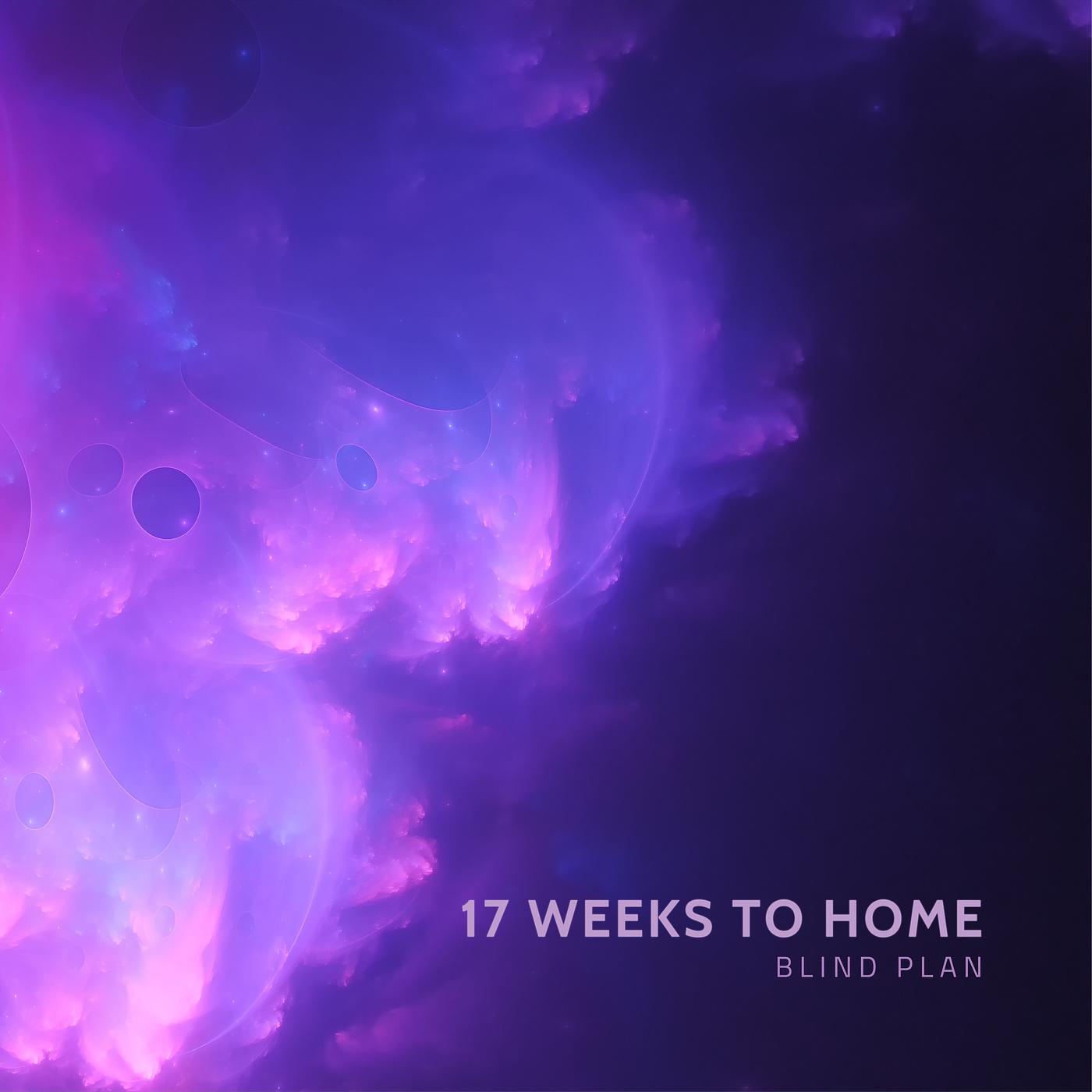 Постер альбома 17 Weeks to Home